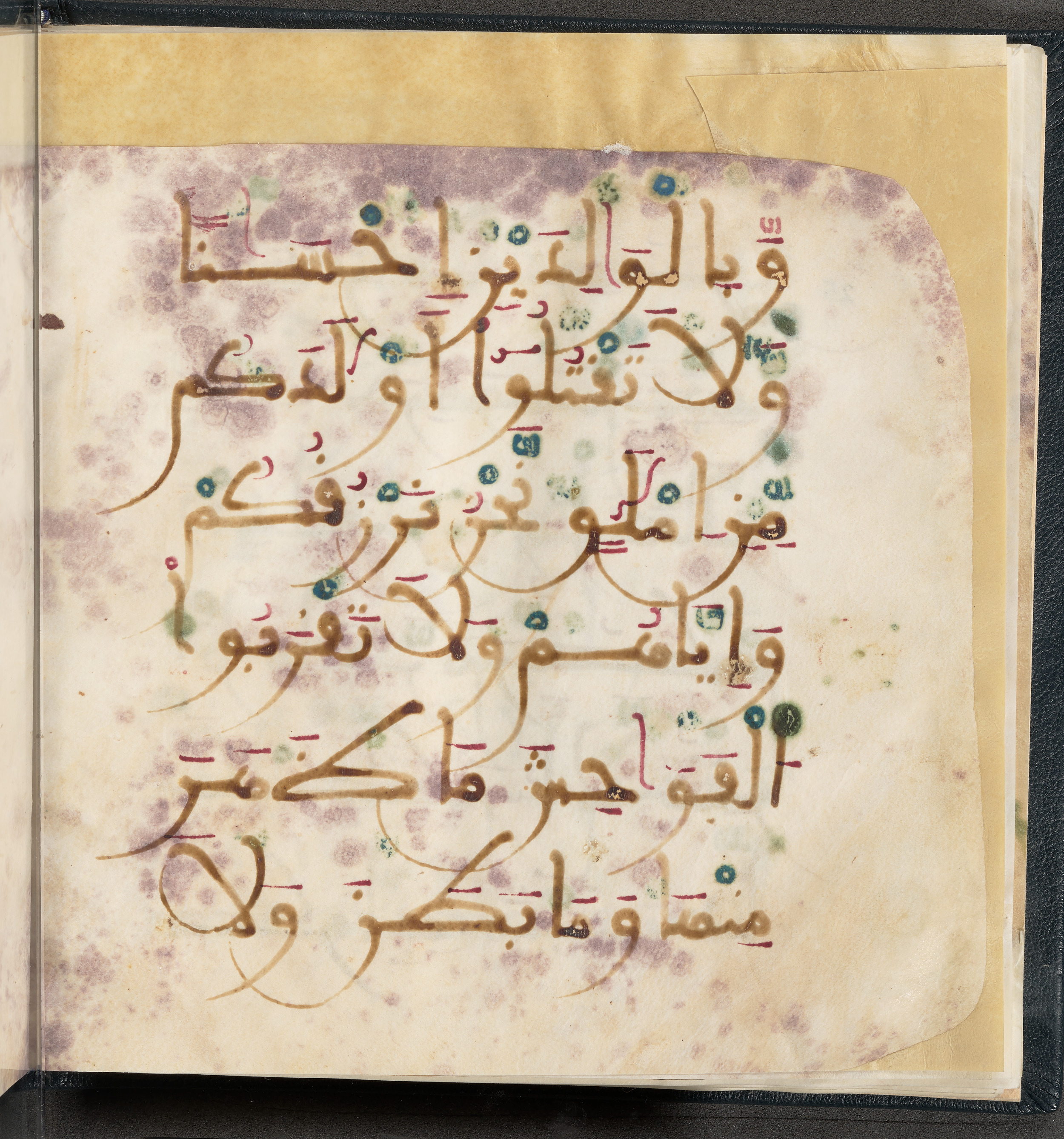 Qatar National Library HC.MS.03150 (Scan 2), in Large Maġribī mabsūṭ script, showing Surah 6:151 from First half of the 14th Century AD found in Northwest Africa (Maghreb) or al-Andalus, currently housed at Qatar National Library, Doha