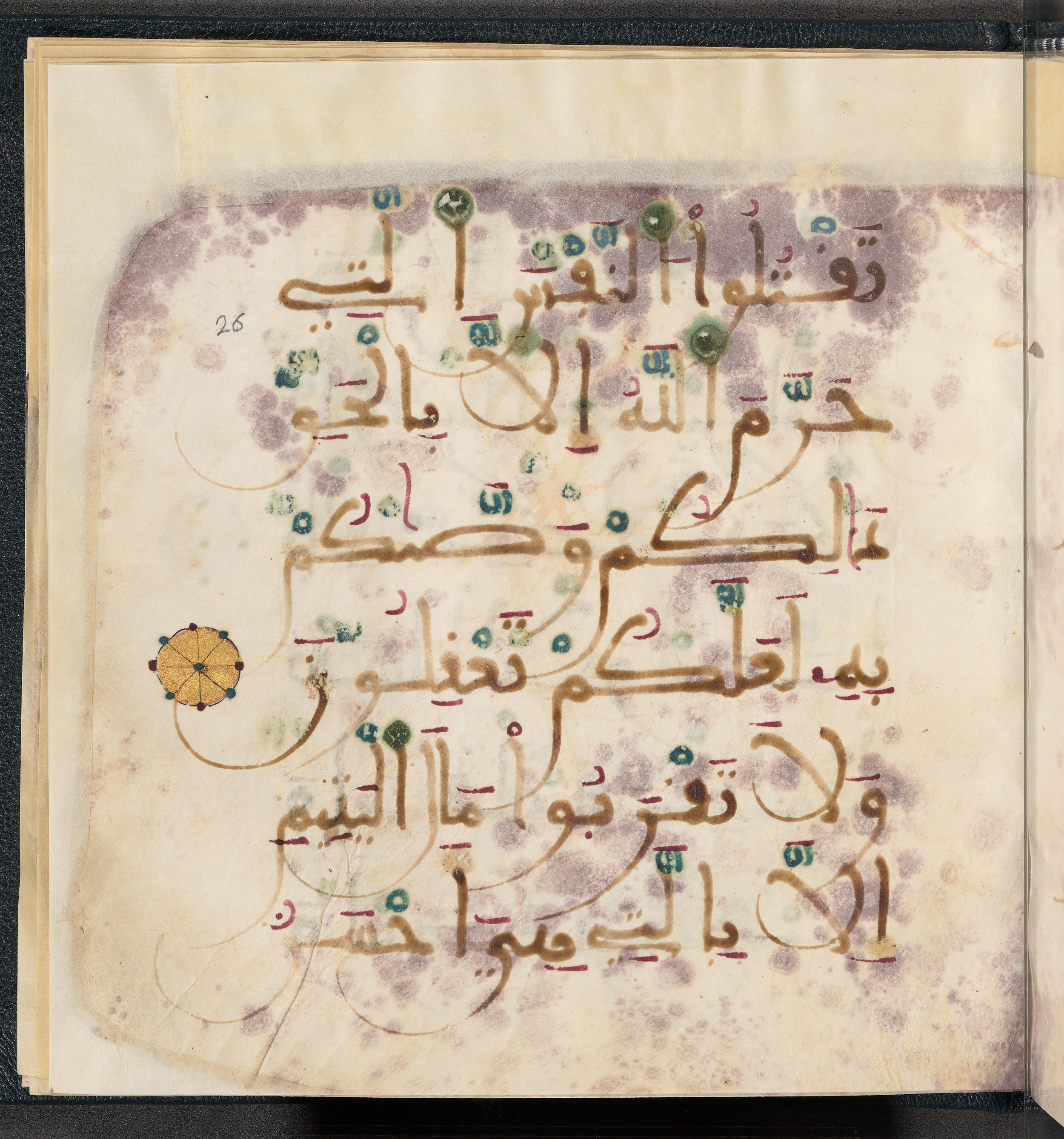 Qatar National Library HC.MS.03150 (Scan 1), in Large Maġribī mabsūṭ script, showing Surah 6:152 from First half of the 14th Century AD found in Northwest Africa (Maghreb) or al-Andalus, currently housed at Qatar National Library, Doha