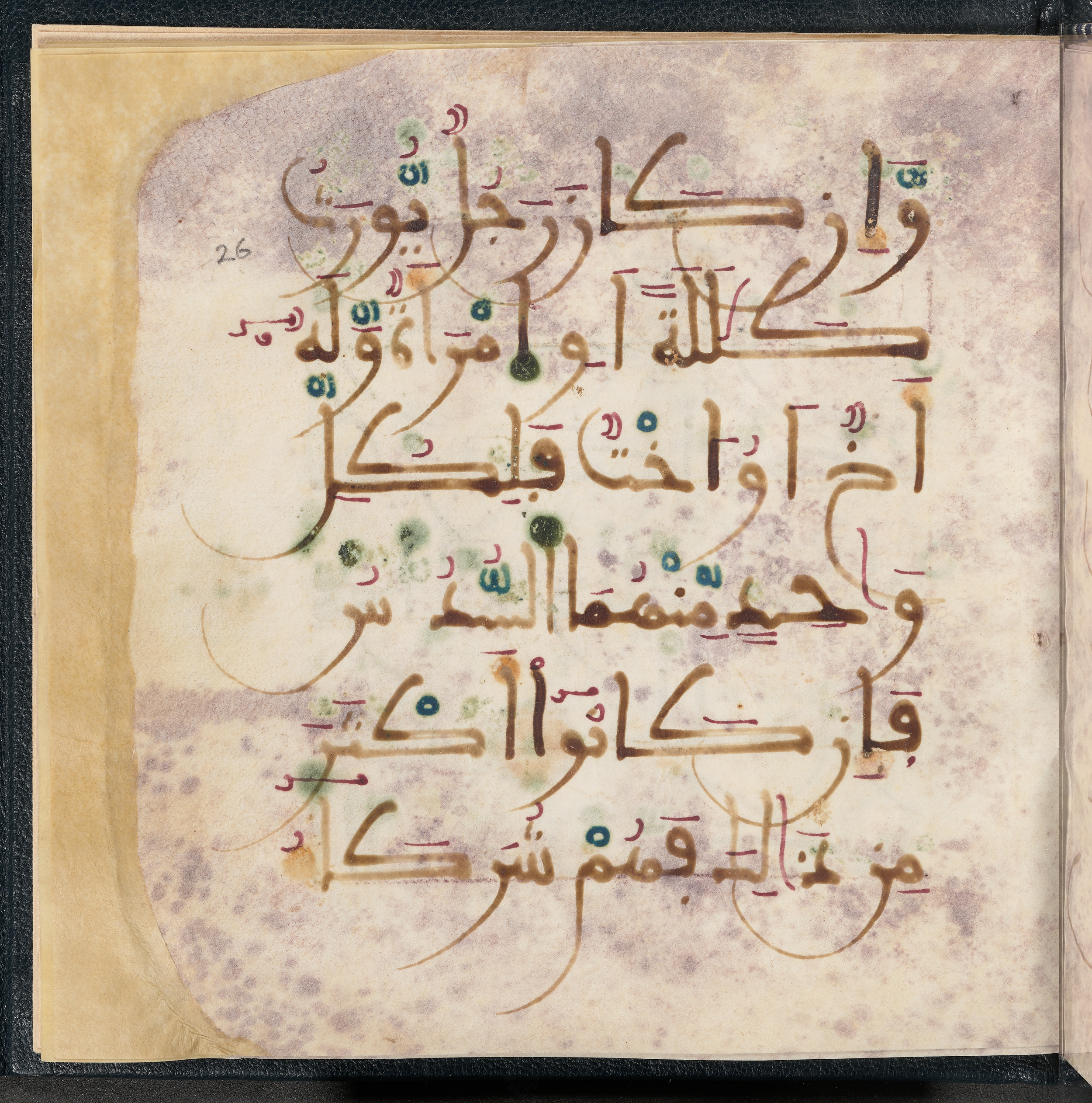 Qatar National Library HC.MS.03150 (Scan 4), in Large Maġribī mabsūṭ script, showing Surah 4:12 from First half of the 14th Century AD found in Northwest Africa (Maghreb) or al-Andalus, currently housed at Qatar National Library, Doha