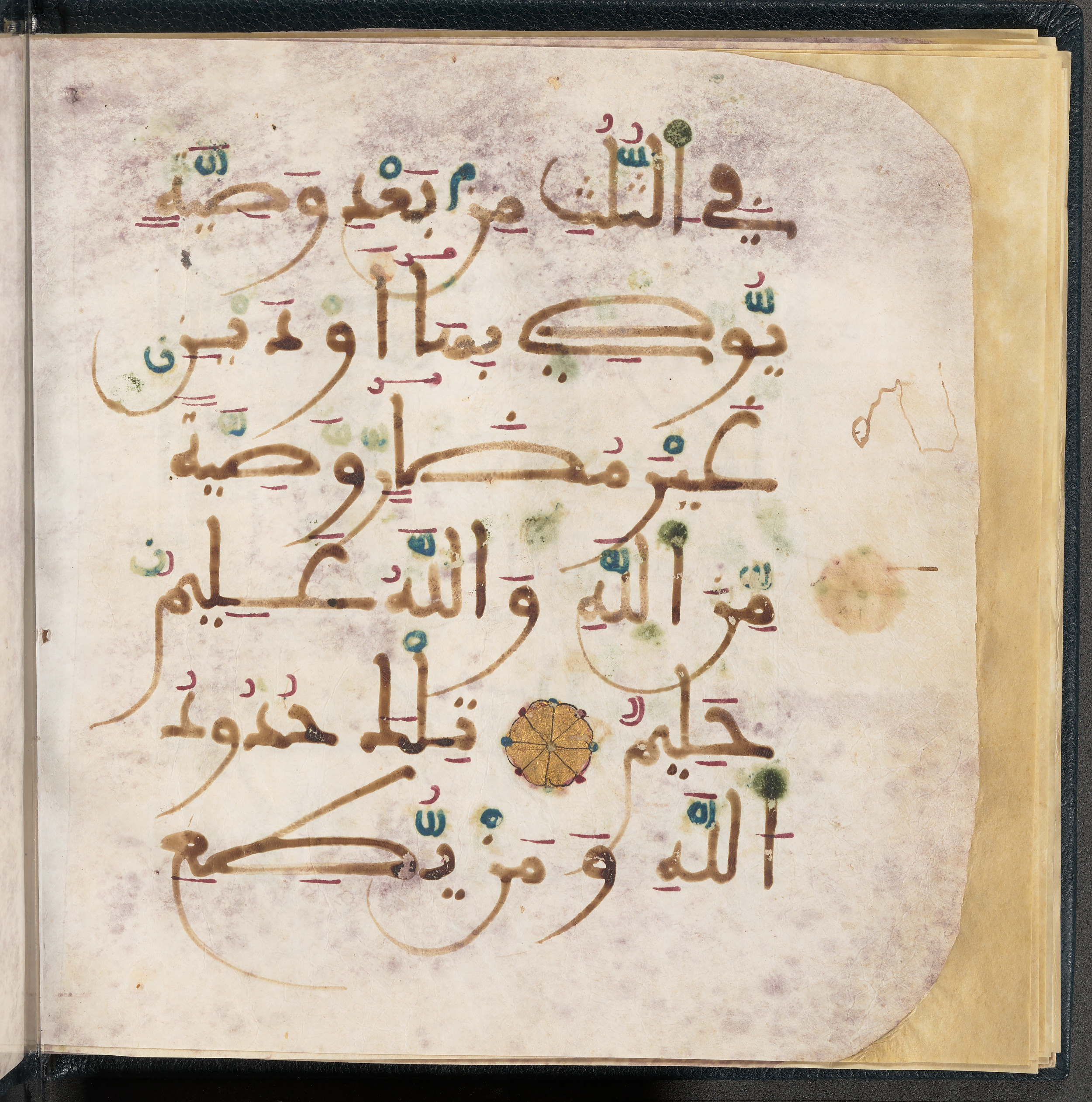 Qatar National Library HC.MS.03150 (Scan 5), in Large Maġribī mabsūṭ script, showing Surah 4:12 from First half of the 14th Century AD found in Northwest Africa (Maghreb) or al-Andalus, currently housed at Qatar National Library, Doha