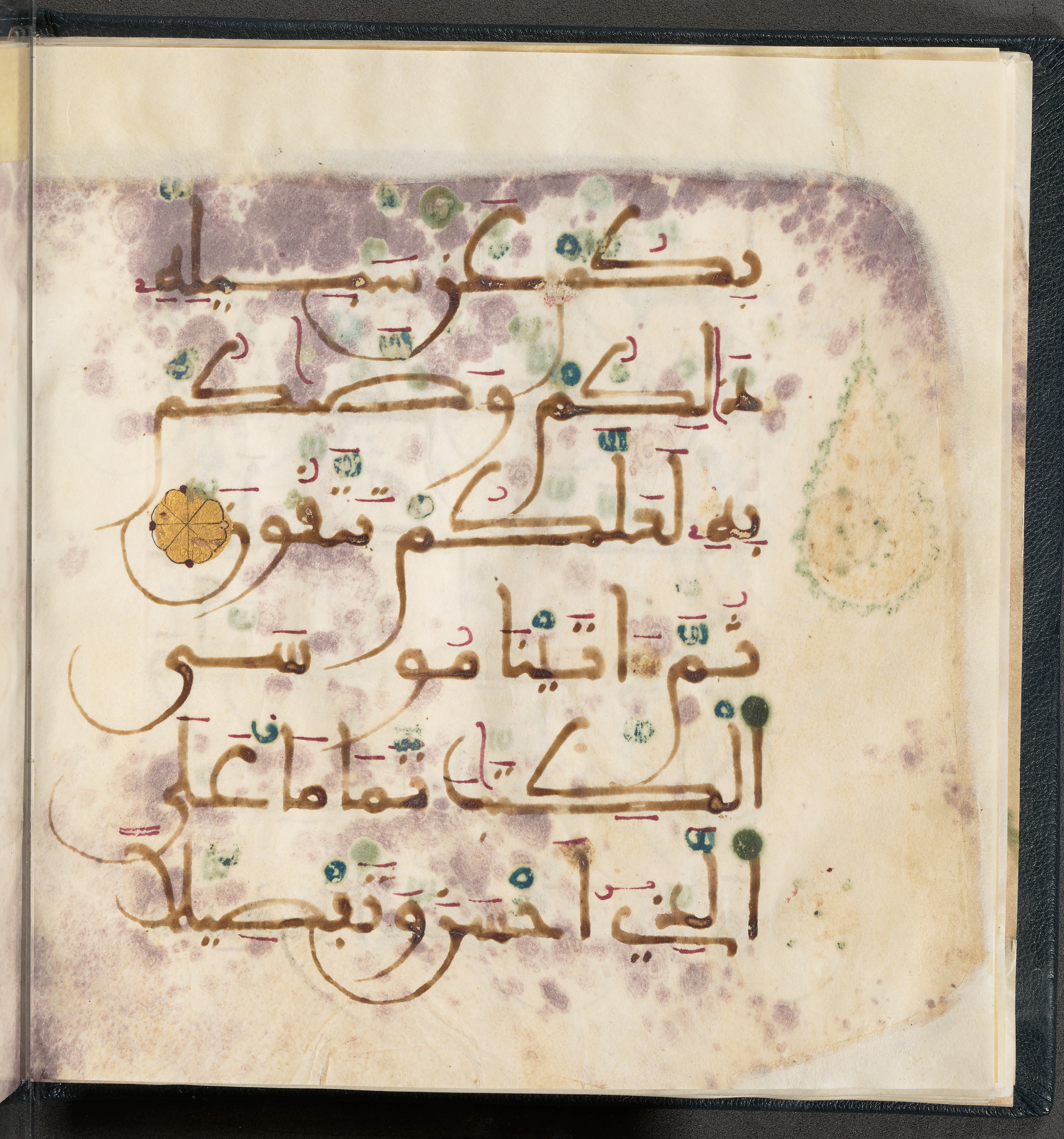 Qatar National Library HC.MS.03150 (Scan 1), in Large Maġribī mabsūṭ script, showing Surah 6:154 from First half of the 14th Century AD found in Northwest Africa (Maghreb) or al-Andalus, currently housed at Qatar National Library, Doha