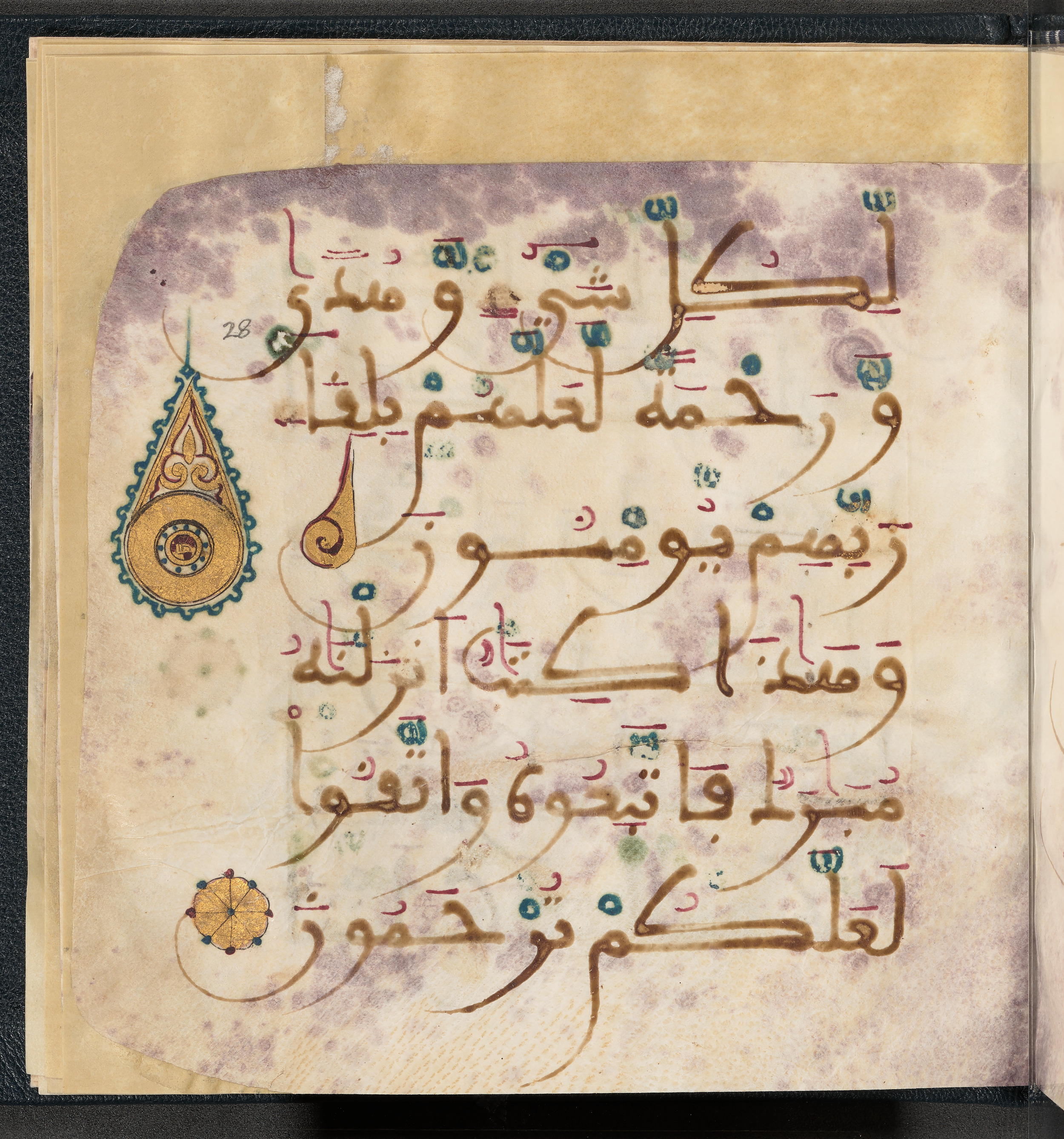 Qatar National Library HC.MS.03150, in Large Maġribī mabsūṭ script, showing Surah 6:155 from First half of the 14th Century AD found in Northwest Africa (Maghreb) or al-Andalus, currently housed at Qatar National Library, Doha