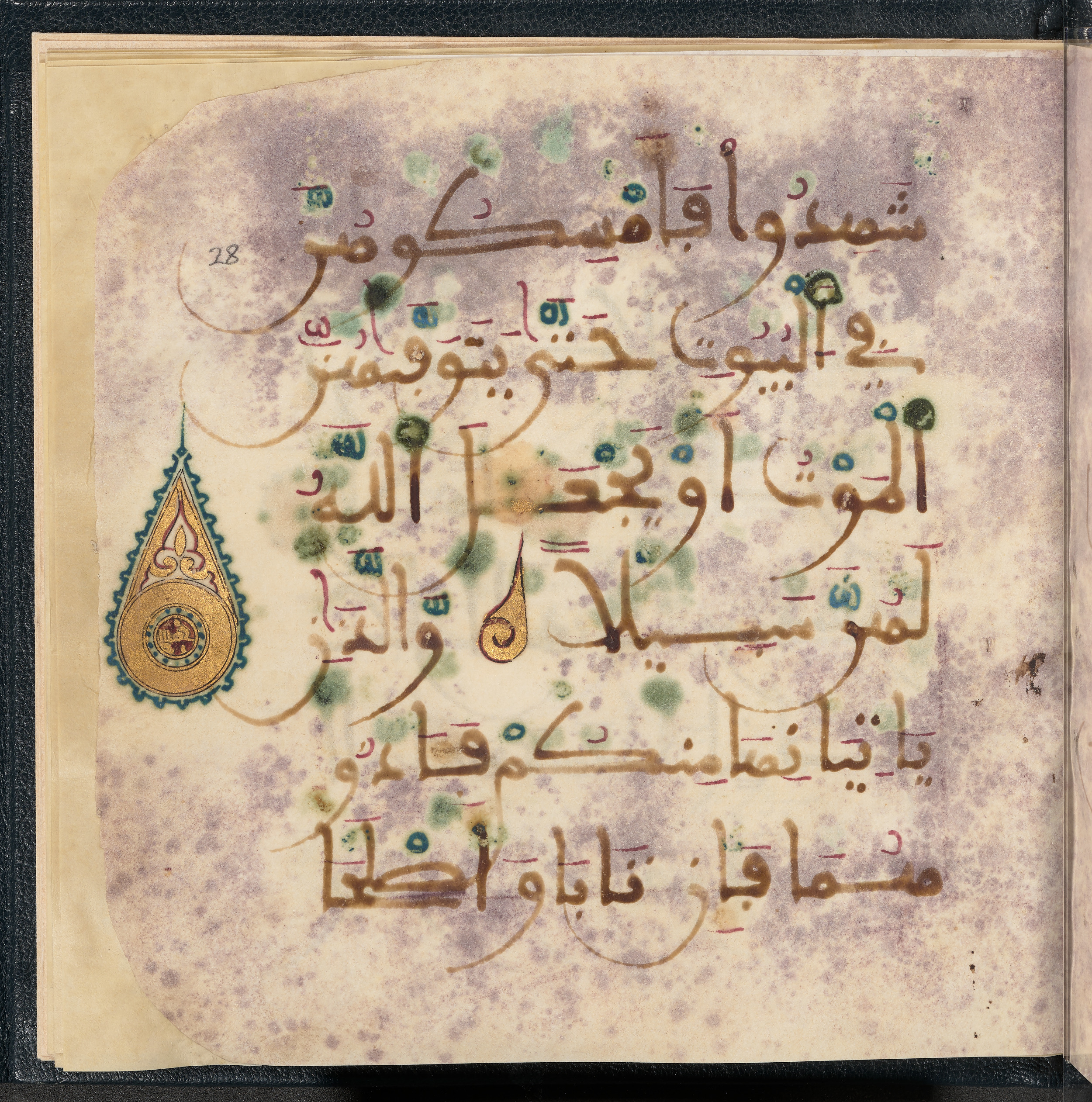 Qatar National Library HC.MS.03150 (Scan 1), in Large Maġribī mabsūṭ script, showing Surah 4:16 from First half of the 14th Century AD found in Northwest Africa (Maghreb) or al-Andalus, currently housed at Qatar National Library, Doha