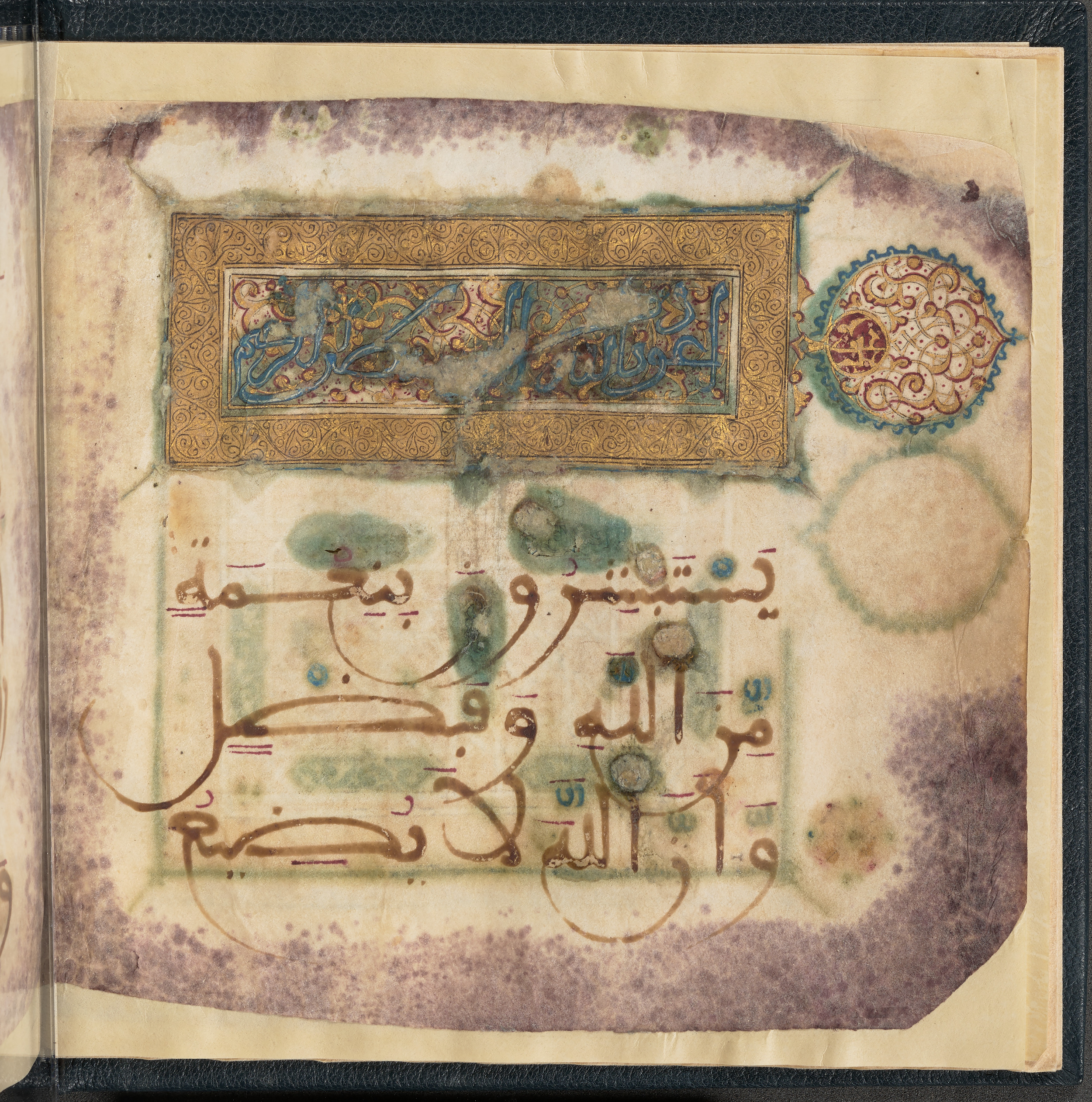 Qatar National Library HC.MS.03150 (Scan 4), in Large Maġribī mabsūṭ script, showing Surah 3:171 from First half of the 14th Century AD found in Northwest Africa (Maghreb) or al-Andalus, currently housed at Qatar National Library, Doha