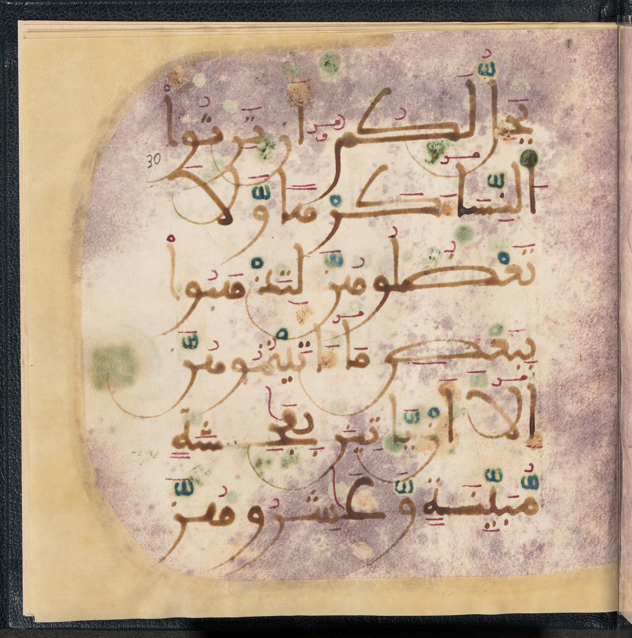 Qatar National Library HC.MS.03150 (Scan 2), in Large Maġribī mabsūṭ script, showing Surah 4:19 from First half of the 14th Century AD found in Northwest Africa (Maghreb) or al-Andalus, currently housed at Qatar National Library, Doha