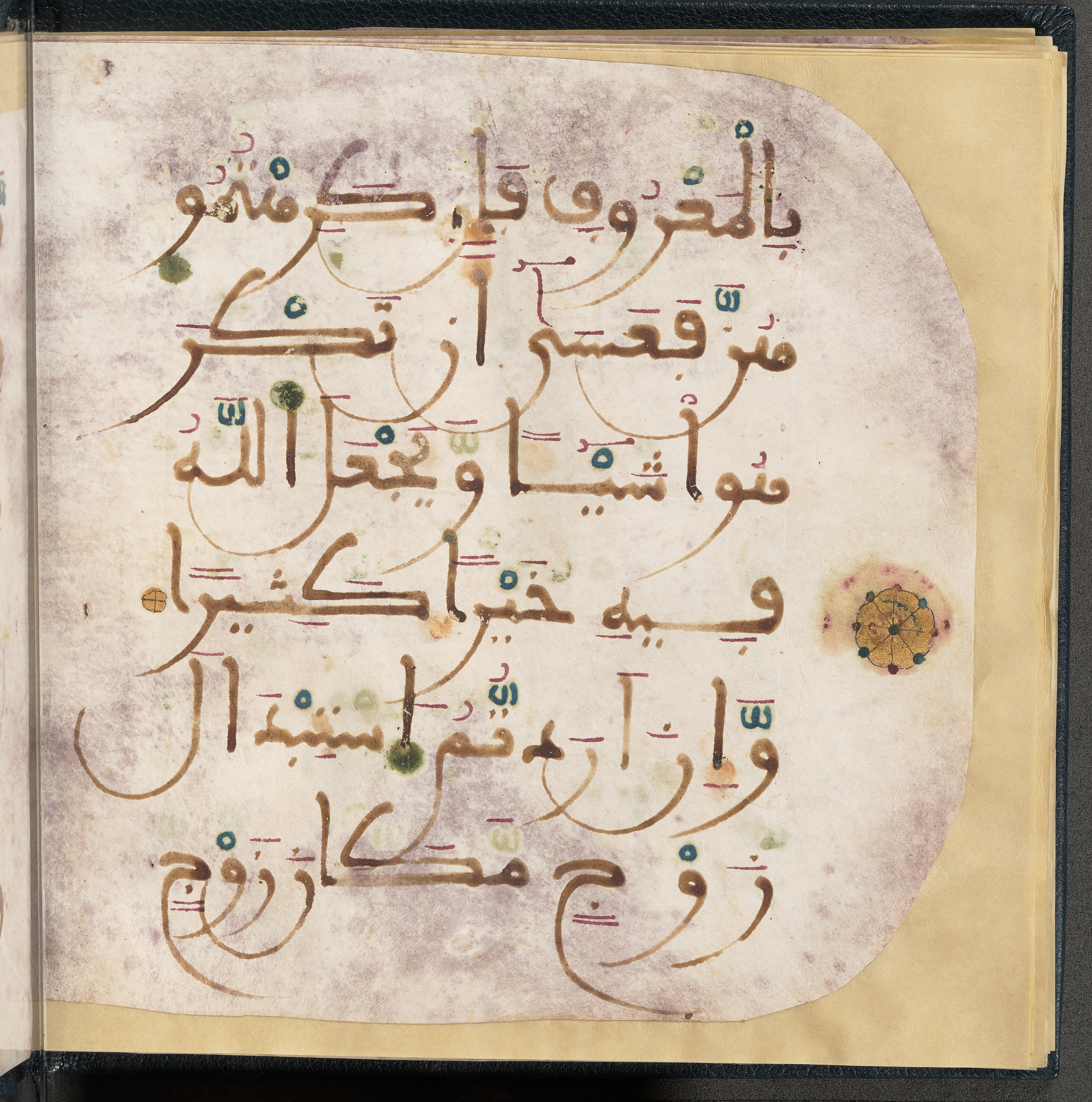 Qatar National Library HC.MS.03150 (Scan 1), in Large Maġribī mabsūṭ script, showing Surah 4:20 from First half of the 14th Century AD found in Northwest Africa (Maghreb) or al-Andalus, currently housed at Qatar National Library, Doha