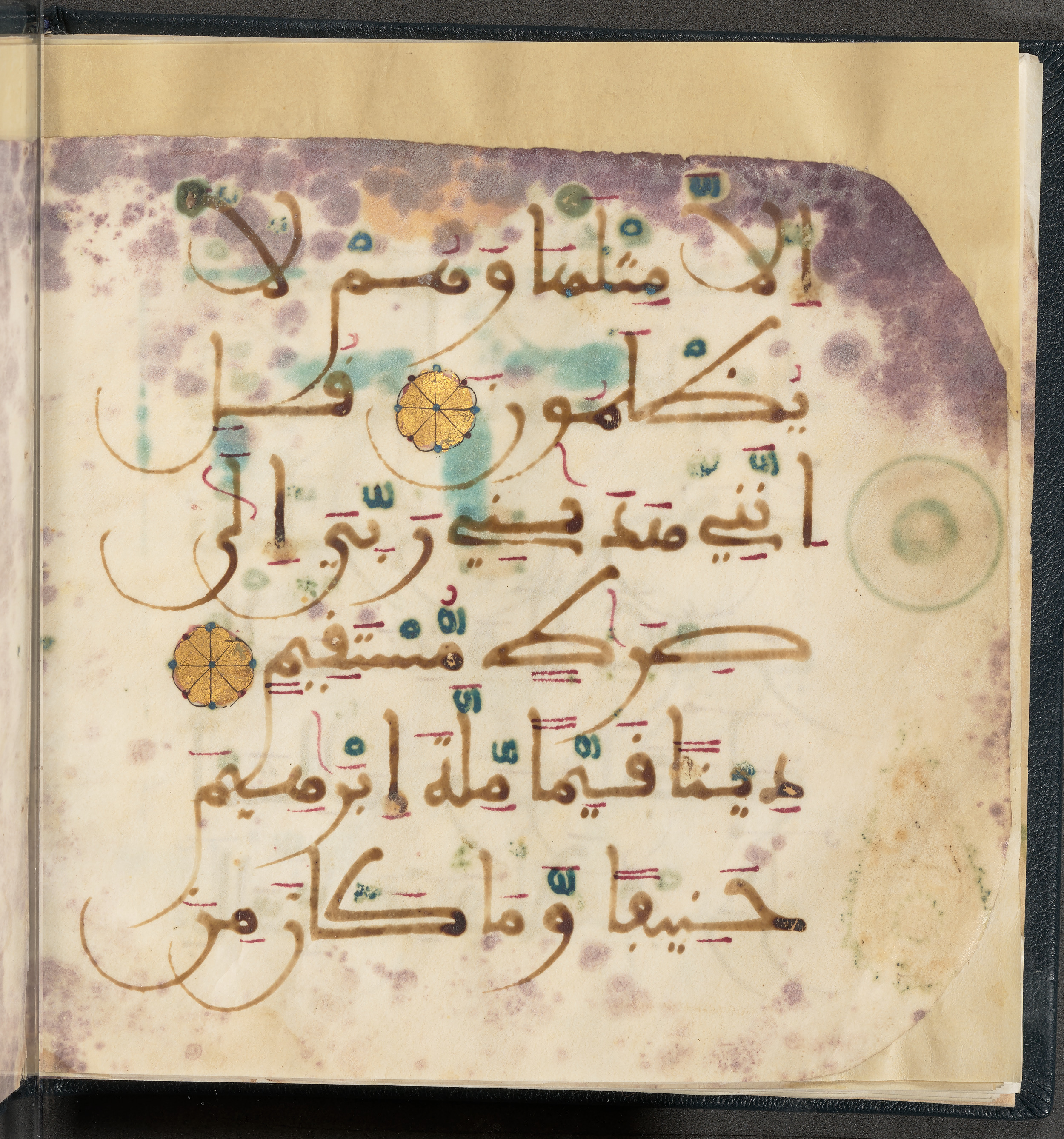 Qatar National Library HC.MS.03150 (Scan 1), in Large Maġribī mabsūṭ script, showing Surah 6:161 from First half of the 14th Century AD found in Northwest Africa (Maghreb) or al-Andalus, currently housed at Qatar National Library, Doha