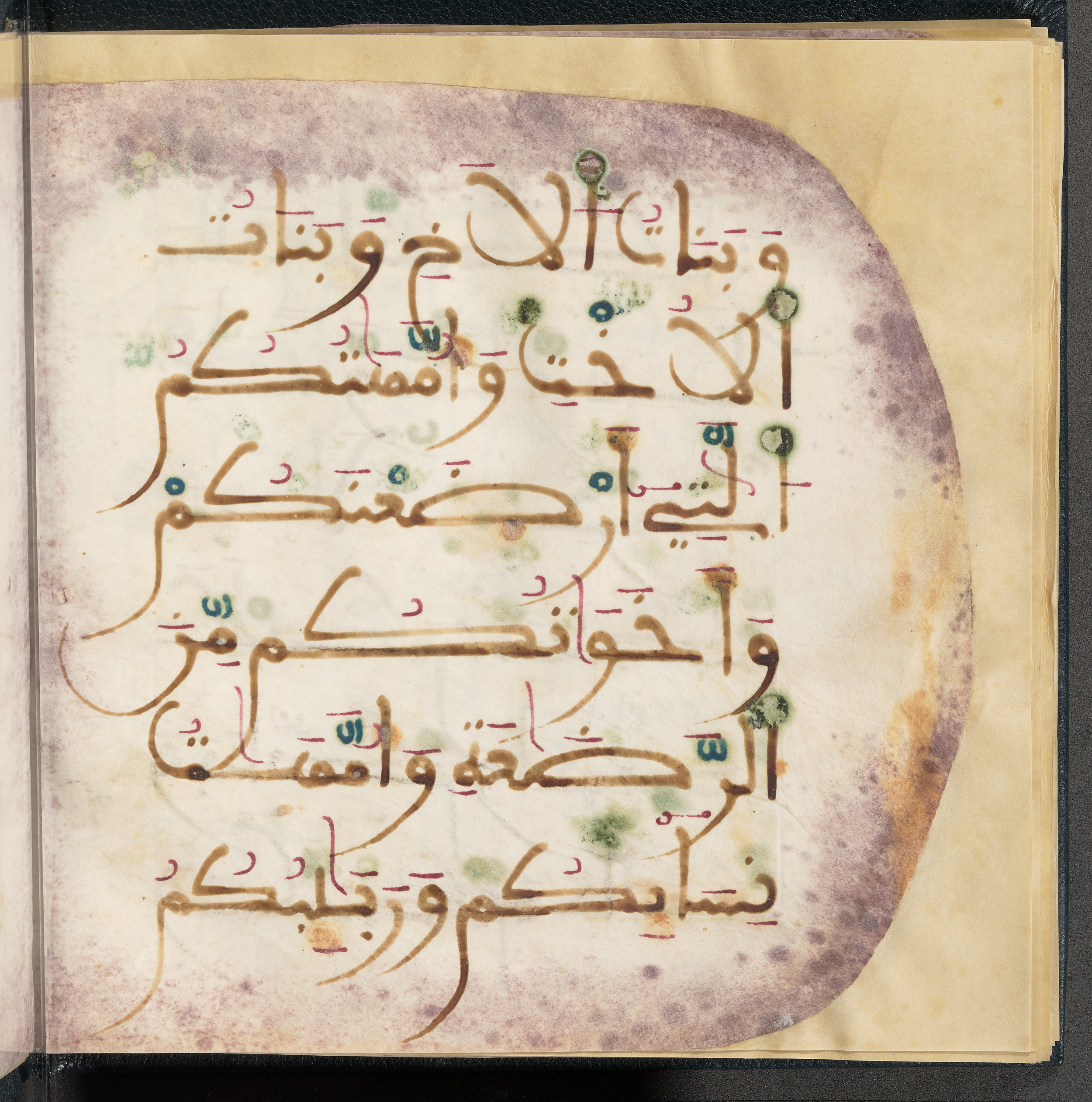 Qatar National Library HC.MS.03150 (Scan 2), in Large Maġribī mabsūṭ script, showing Surah 4:23 from First half of the 14th Century AD found in Northwest Africa (Maghreb) or al-Andalus, currently housed at Qatar National Library, Doha