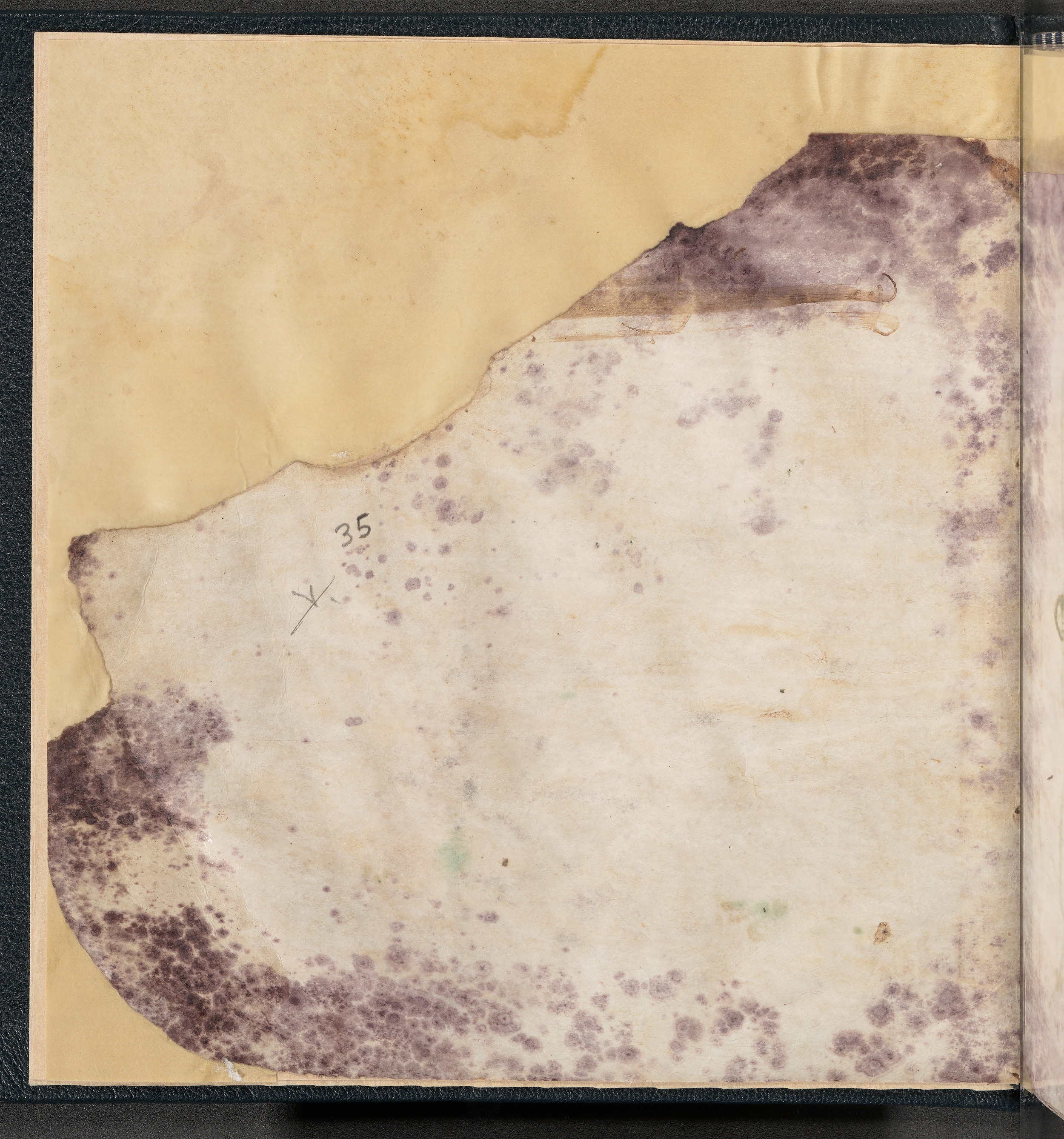 Qatar National Library HC.MS.03150 (Scan 5), in Large Maġribī mabsūṭ script, showing Surah 6:165 from First half of the 14th Century AD found in Northwest Africa (Maghreb) or al-Andalus, currently housed at Qatar National Library, Doha