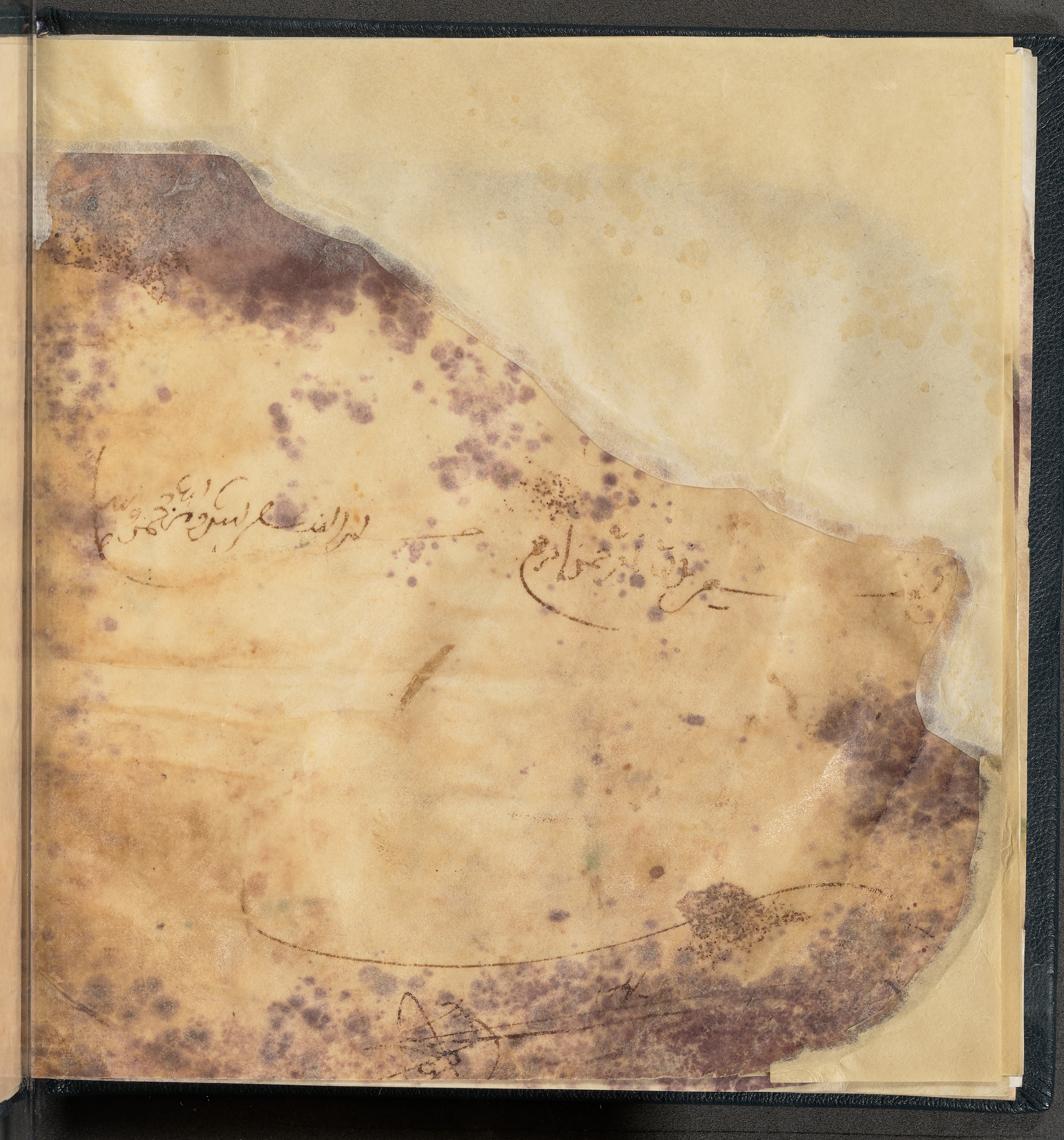 Qatar National Library HC.MS.03150 (Scan 6), in Large Maġribī mabsūṭ script, showing Surah 6:165 from First half of the 14th Century AD found in Northwest Africa (Maghreb) or al-Andalus, currently housed at Qatar National Library, Doha