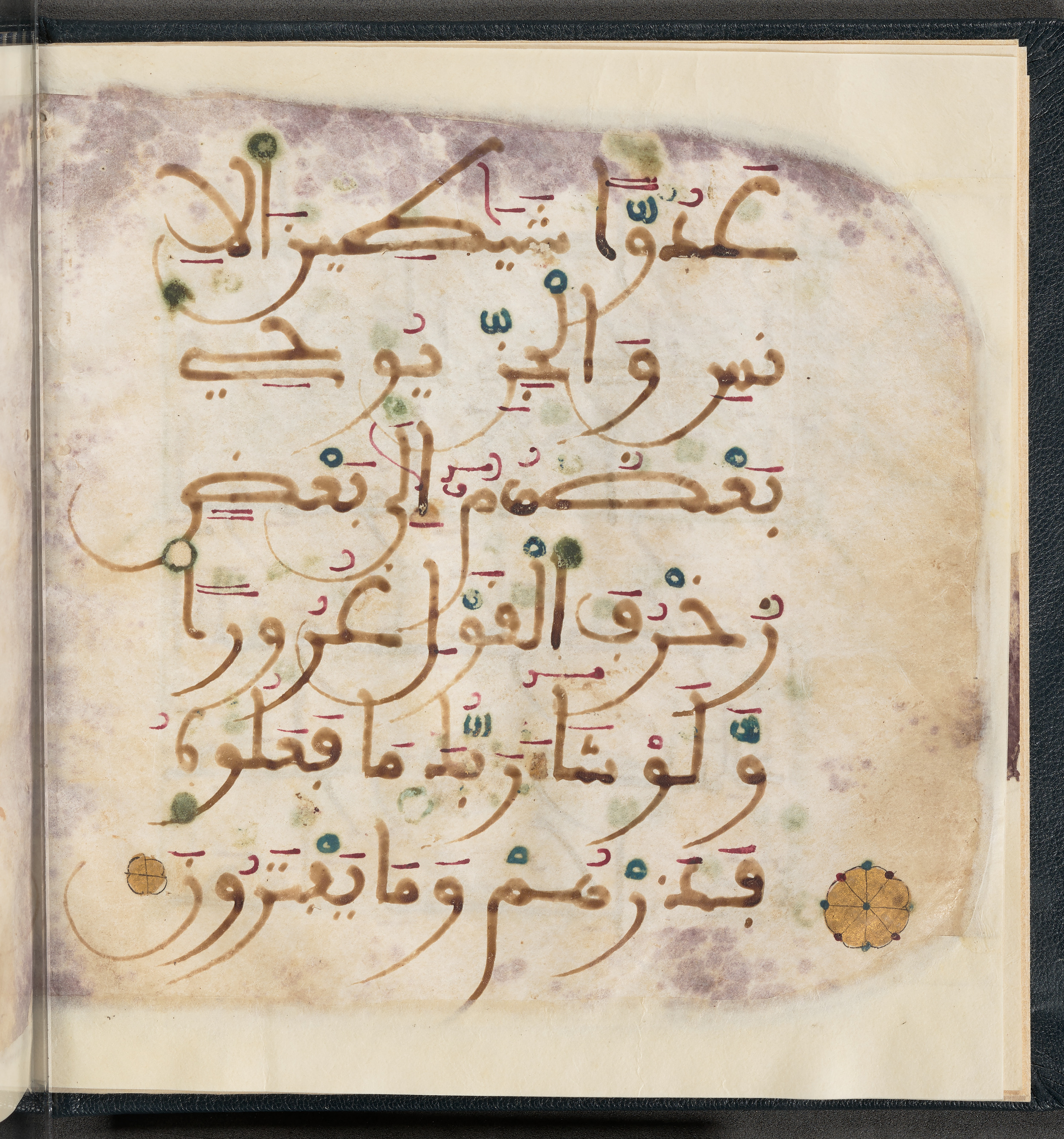 Qatar National Library HC.MS.03150 (Scan 2), in Large Maġribī mabsūṭ script, showing Surah 6:112 from First half of the 14th Century AD found in Northwest Africa (Maghreb) or al-Andalus, currently housed at Qatar National Library, Doha