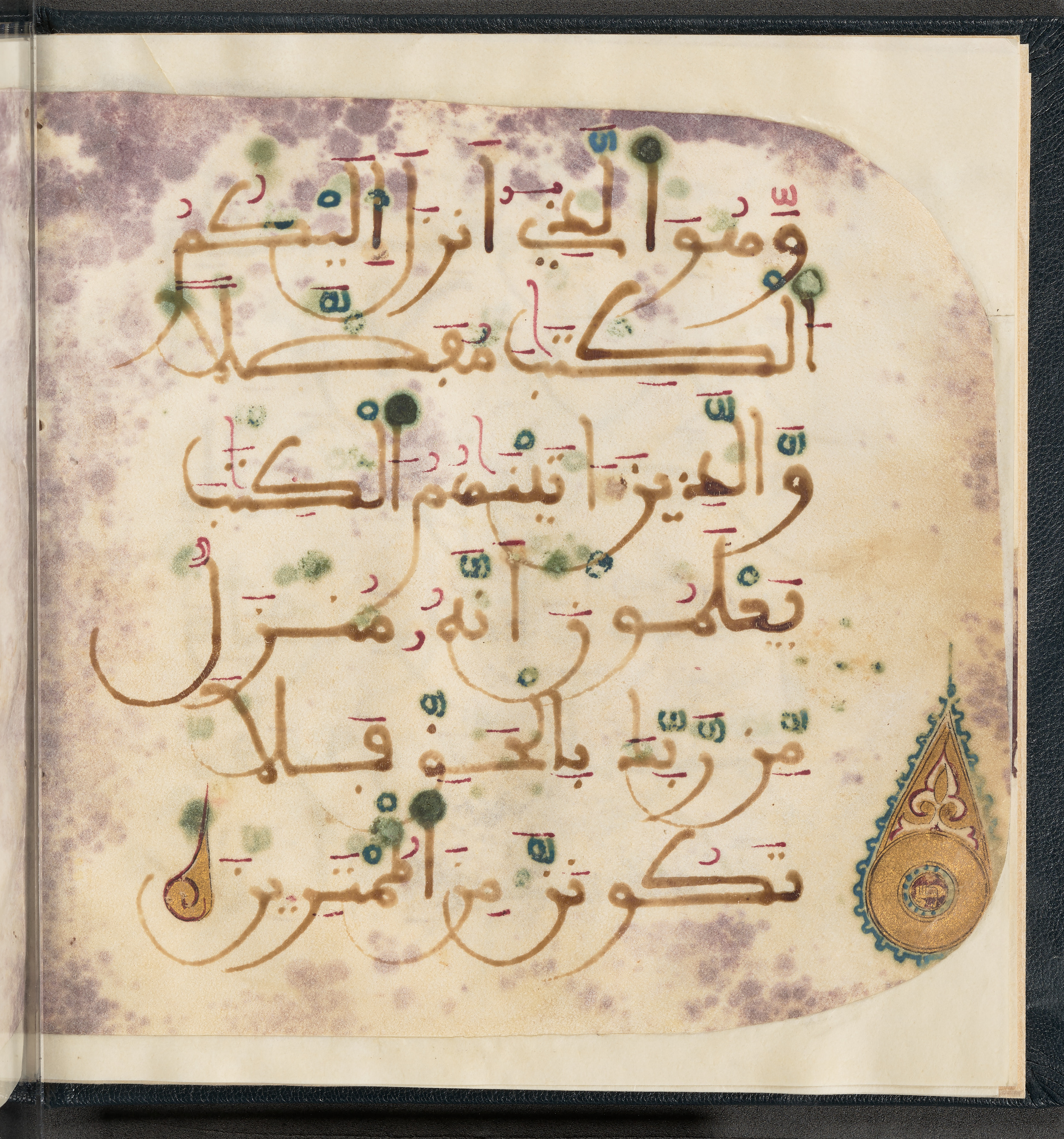 Qatar National Library HC.MS.03150 (Scan 2), in Large Maġribī mabsūṭ script, showing Surah 6:114 from First half of the 14th Century AD found in Northwest Africa (Maghreb) or al-Andalus, currently housed at Qatar National Library, Doha