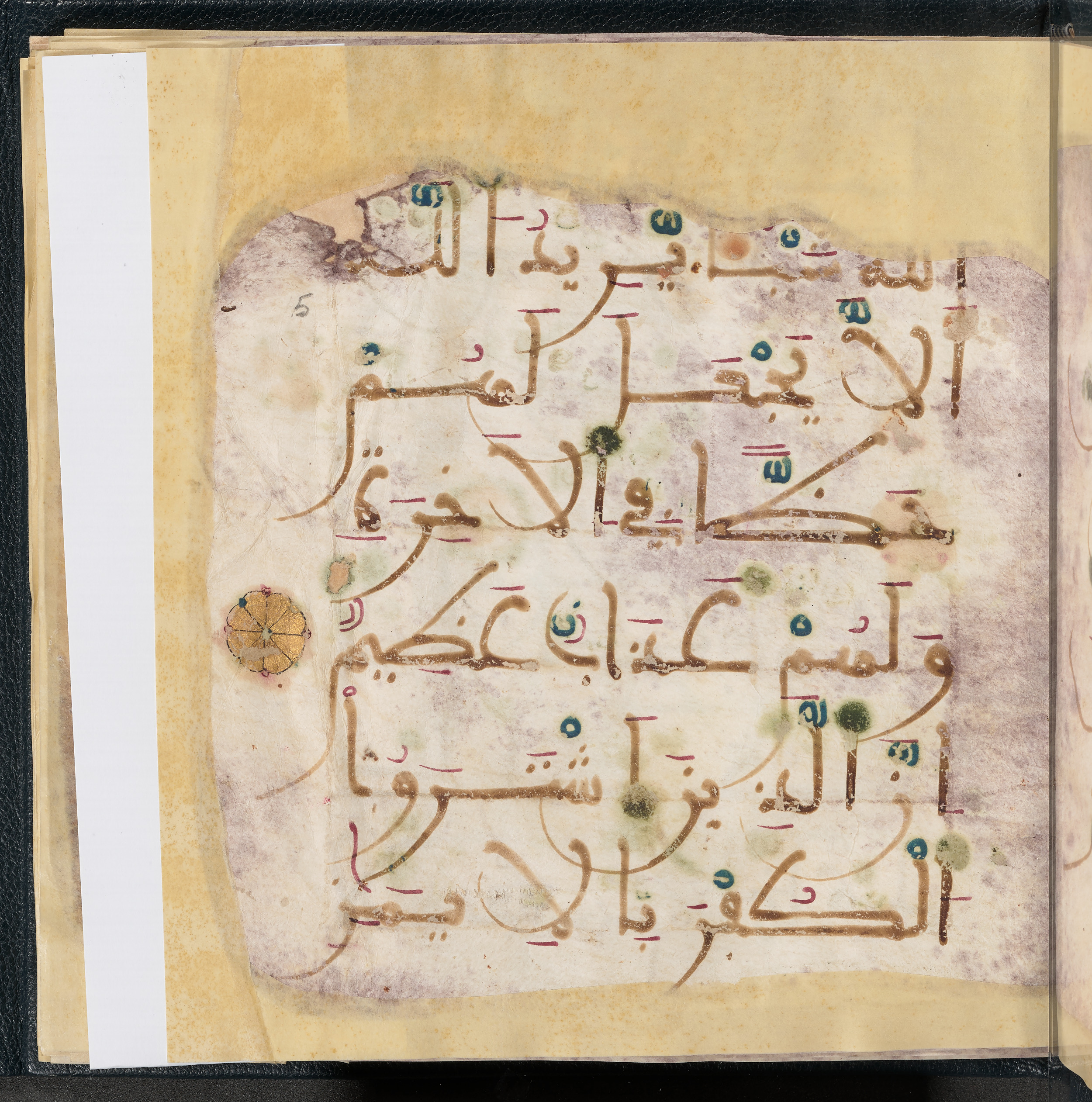 Qatar National Library HC.MS.03150 (Scan 2), in Large Maġribī mabsūṭ script, showing Surah 3:176 from First half of the 14th Century AD found in Northwest Africa (Maghreb) or al-Andalus, currently housed at Qatar National Library, Doha