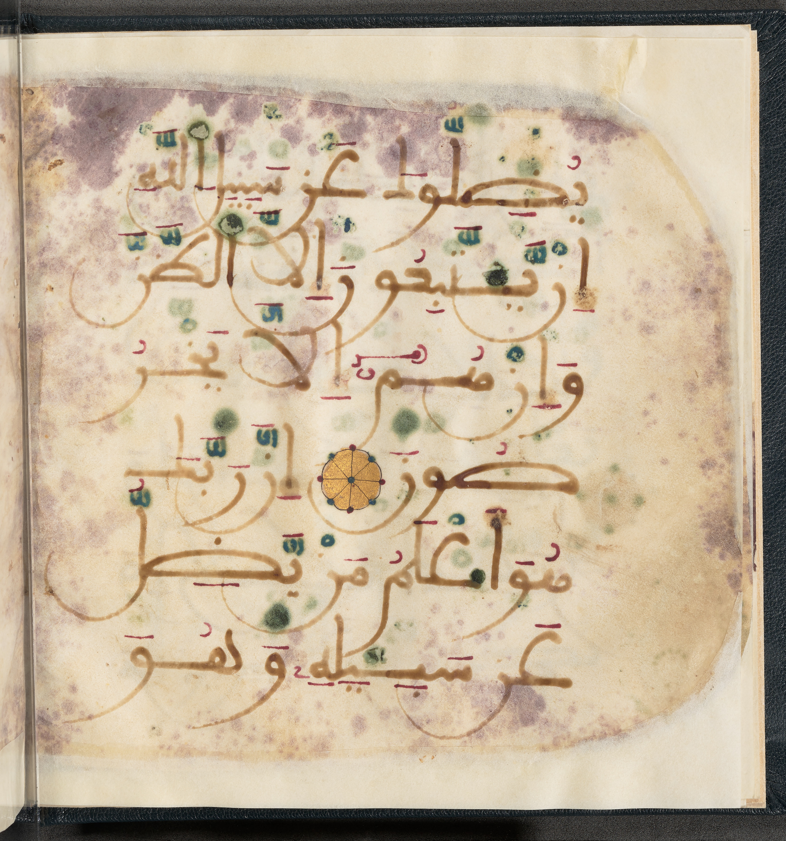 Qatar National Library HC.MS.03150 (Scan 2), in Large Maġribī mabsūṭ script, showing Surah 6:116 from First half of the 14th Century AD found in Northwest Africa (Maghreb) or al-Andalus, currently housed at Qatar National Library, Doha