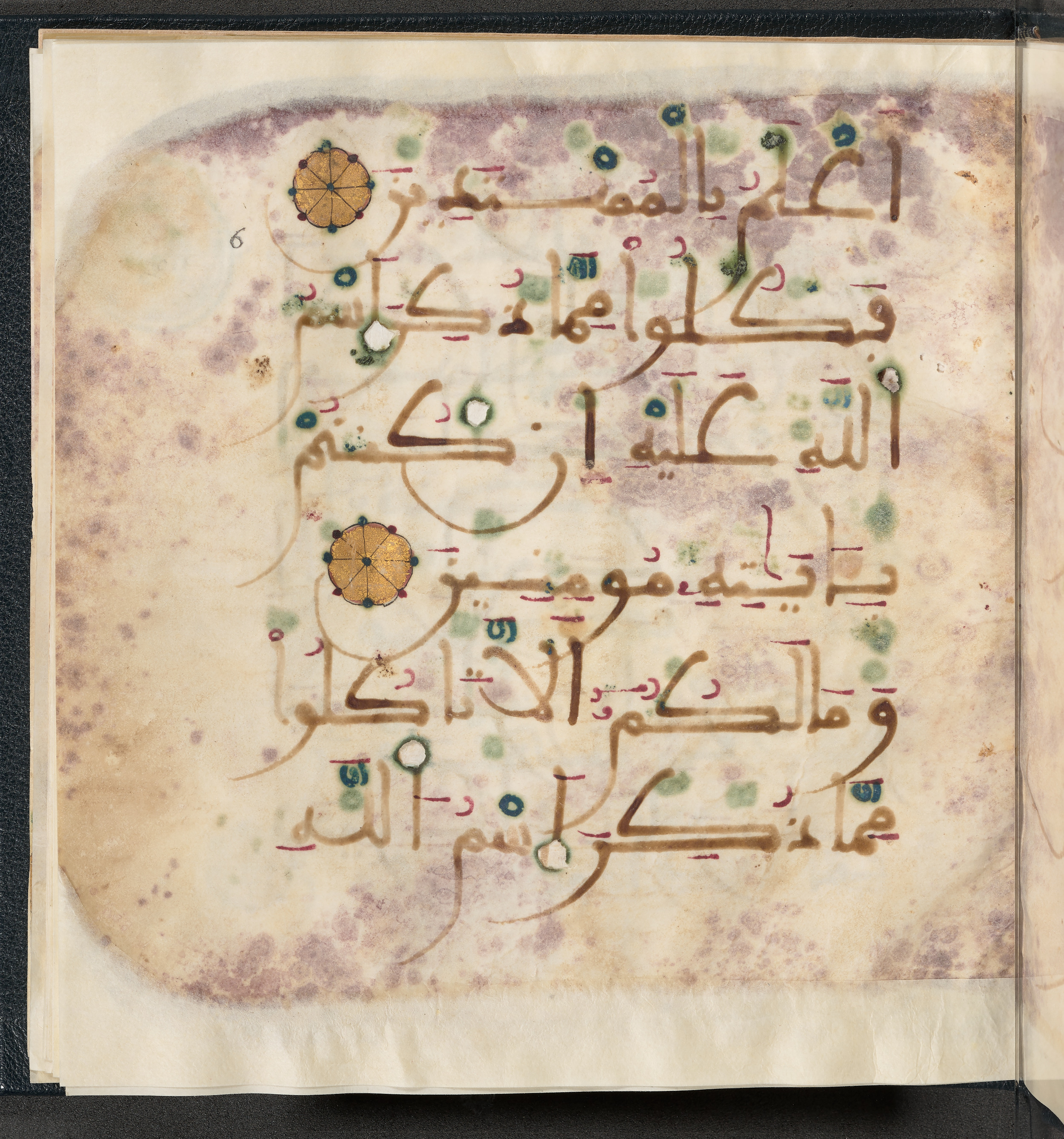 Qatar National Library HC.MS.03150 (Scan 1), in Large Maġribī mabsūṭ script, showing Surah 6:119 from First half of the 14th Century AD found in Northwest Africa (Maghreb) or al-Andalus, currently housed at Qatar National Library, Doha