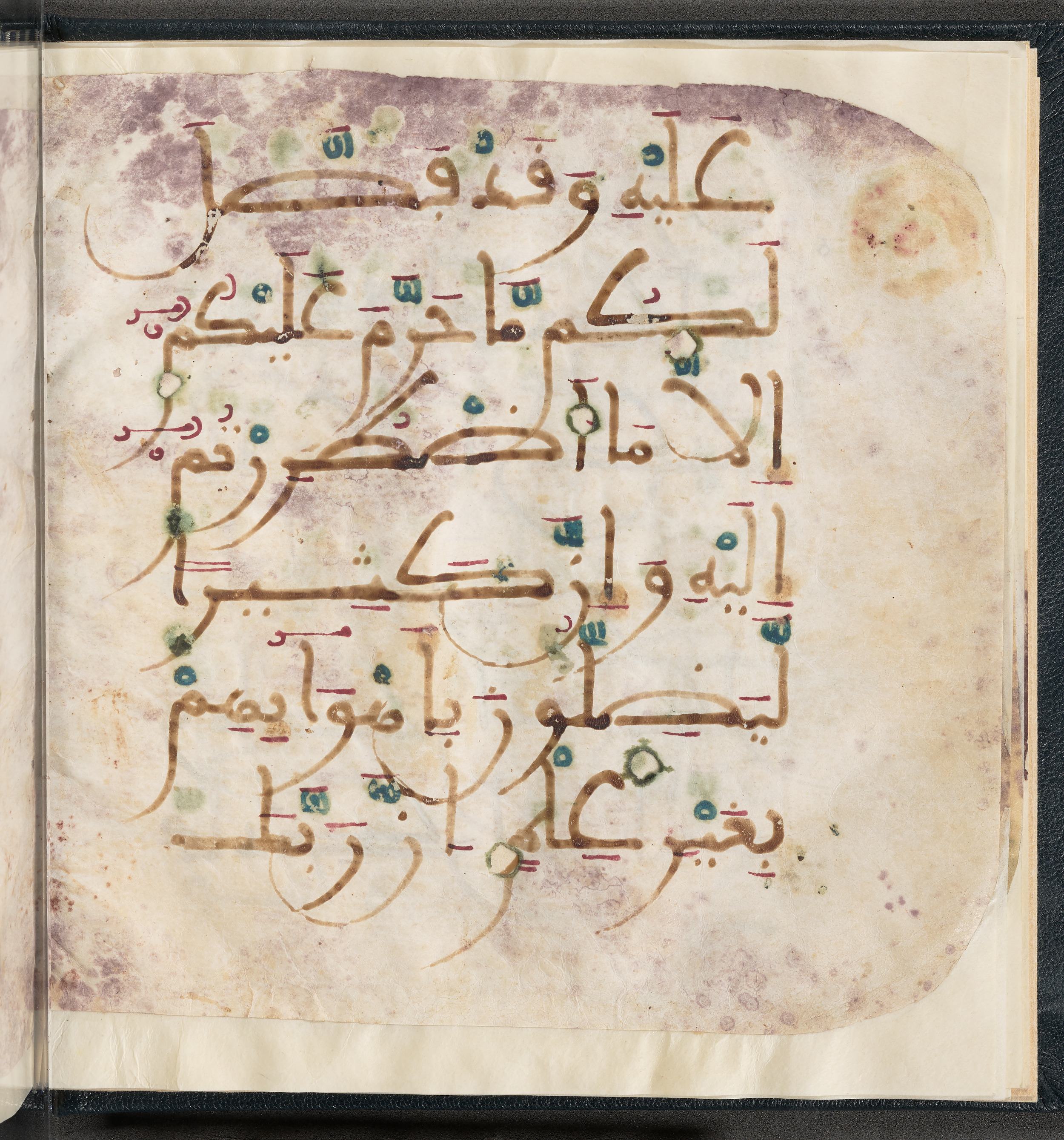 Qatar National Library HC.MS.03150 (Scan 2), in Large Maġribī mabsūṭ script, showing Surah 6:119 from First half of the 14th Century AD found in Northwest Africa (Maghreb) or al-Andalus, currently housed at Qatar National Library, Doha