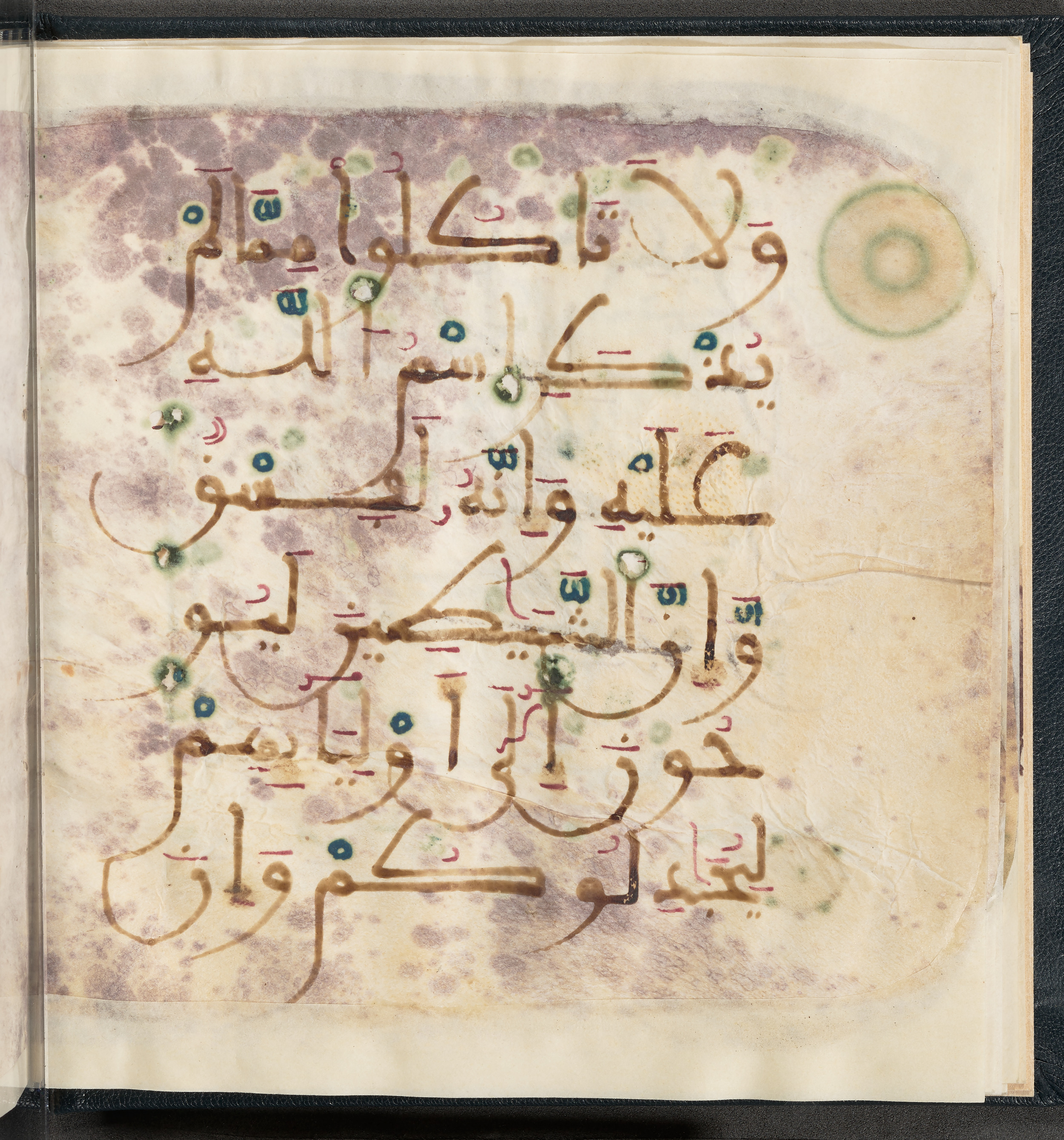 Qatar National Library HC.MS.03150 (Scan 1), in Large Maġribī mabsūṭ script, showing Surah 6:121 from First half of the 14th Century AD found in Northwest Africa (Maghreb) or al-Andalus, currently housed at Qatar National Library, Doha