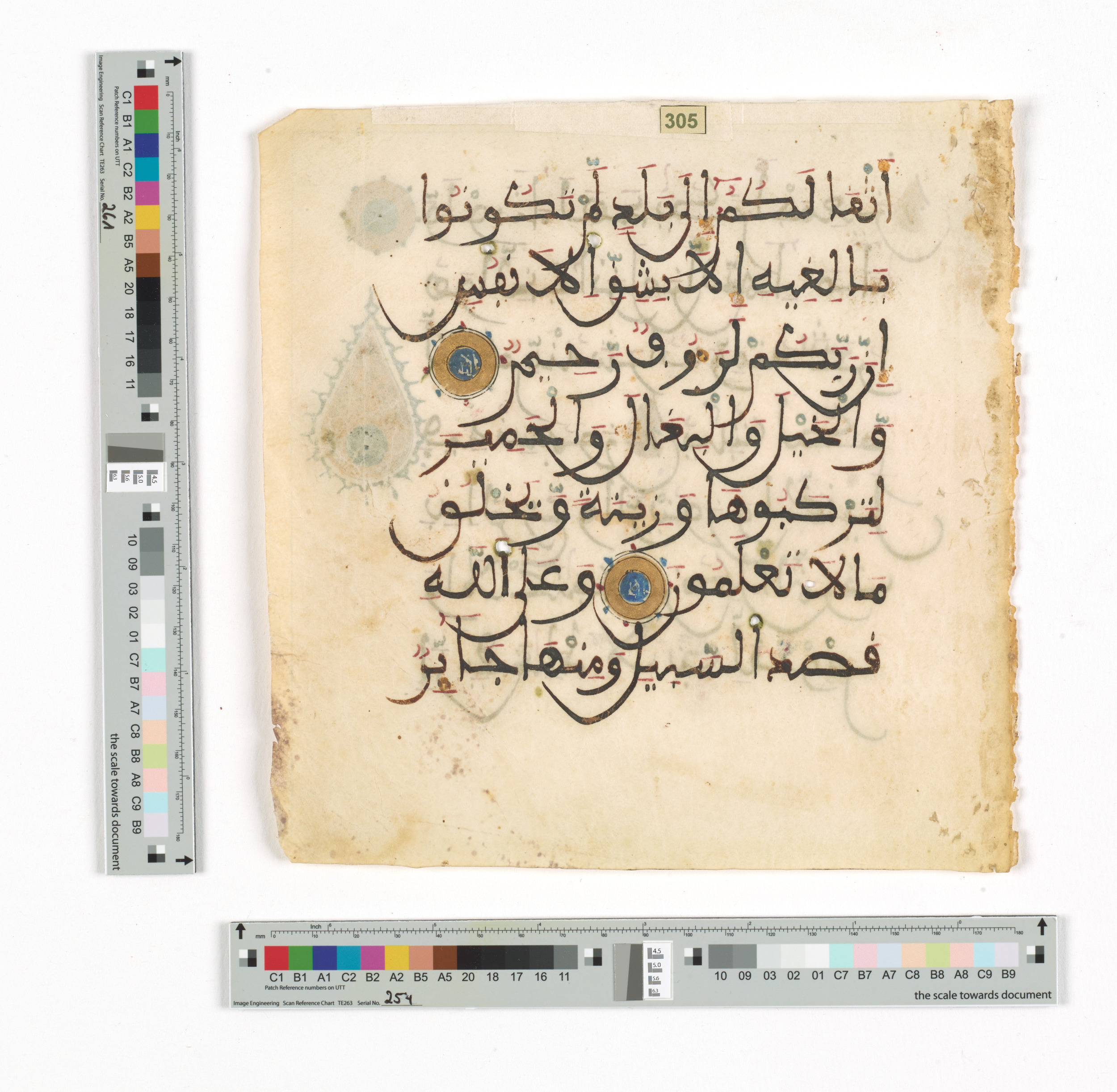 Doha, Qatar National Library HC.MS.03148, in Maġribī mabsūṭ script, showing Surah 16:8 from 14th Century AD found in North Africa (Maghreb) or Muslim Iberia (al-Andalus), currently housed at Qatar National Library, Doha