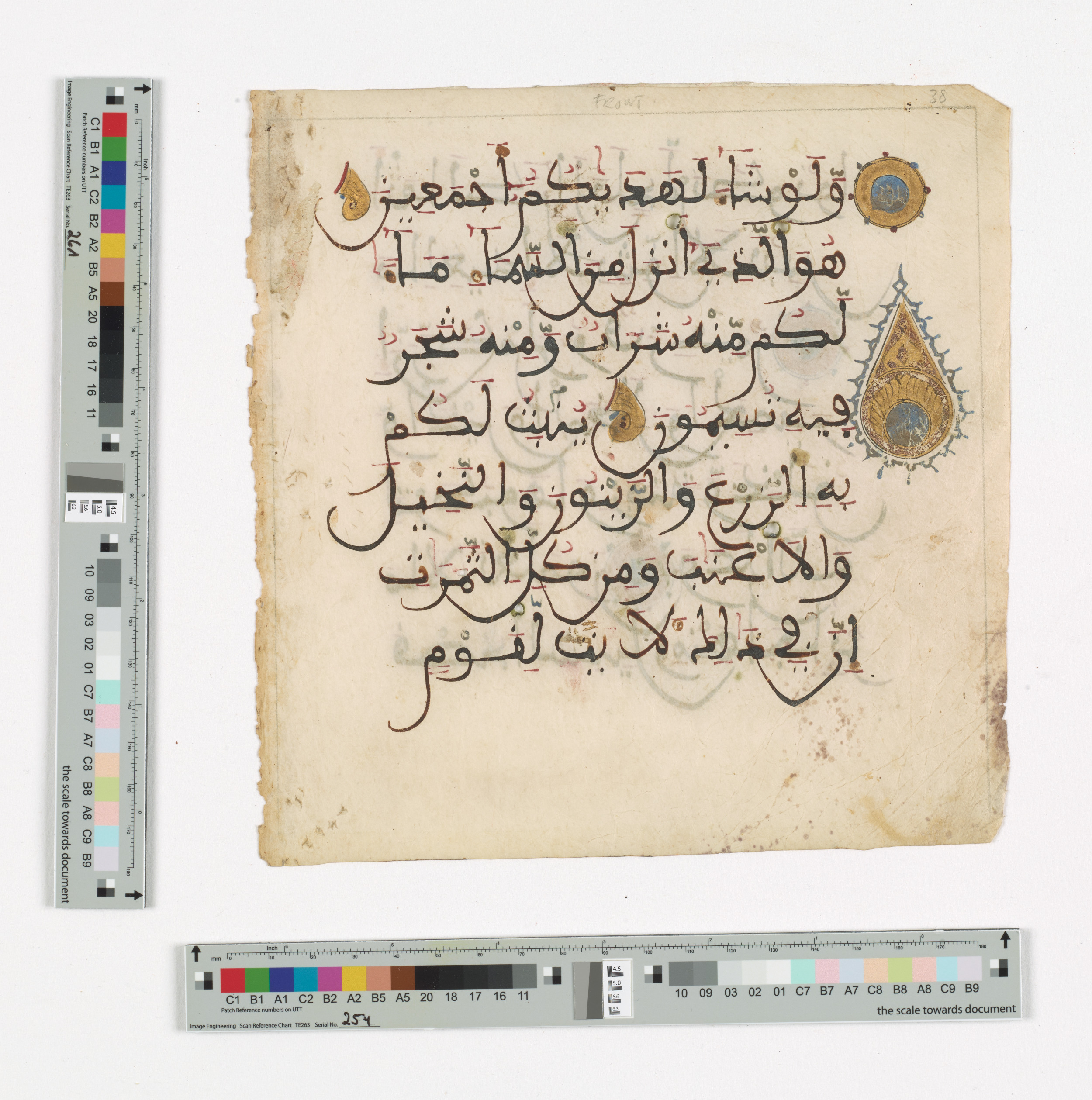 Doha, Qatar National Library HC.MS.03148, in Maġribī mabsūṭ script, showing Surah 16:10 from 14th Century AD found in North Africa (Maghreb) or Muslim Iberia (al-Andalus), currently housed at Qatar National Library, Doha