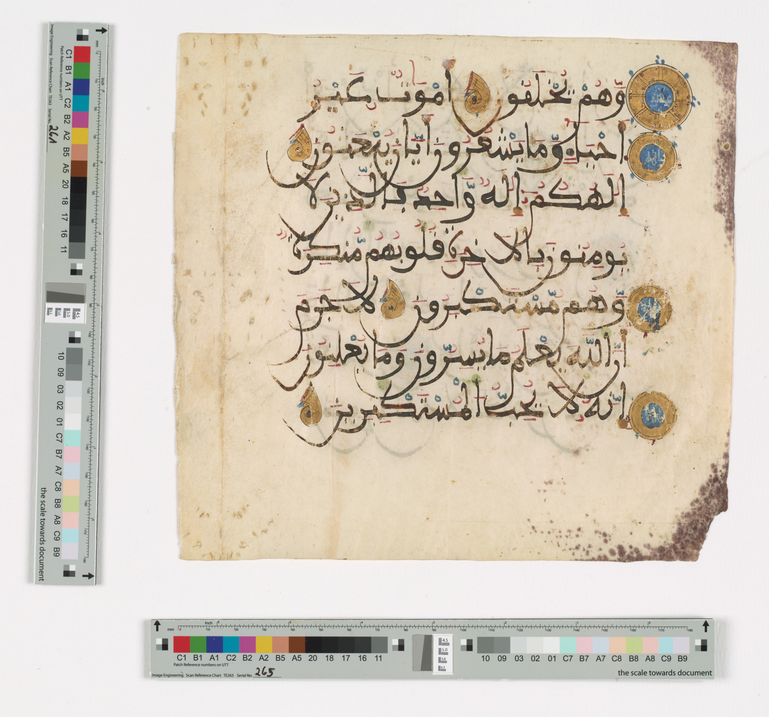 Doha, Qatar National Library HC.MS.03148, in Maġribī mabsūṭ script, showing Surah 16:21 from 14th Century AD found in North Africa (Maghreb) or Muslim Iberia (al-Andalus), currently housed at Qatar National Library, Doha