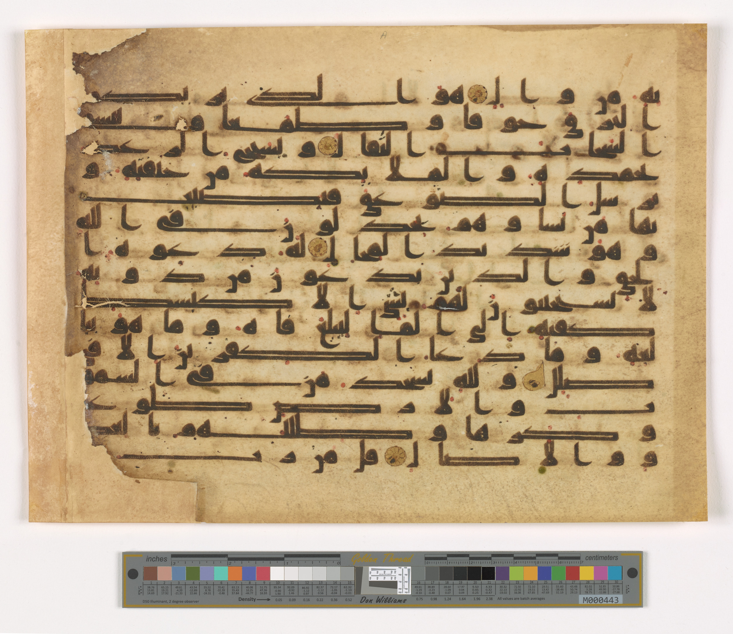 Doha, Qatar National Library, HC.MS.03112, in Kūfī D.IV script, showing Surah 13:13 from 9th Century AD found in Unknown, currently housed at Qatar National Library, Doha