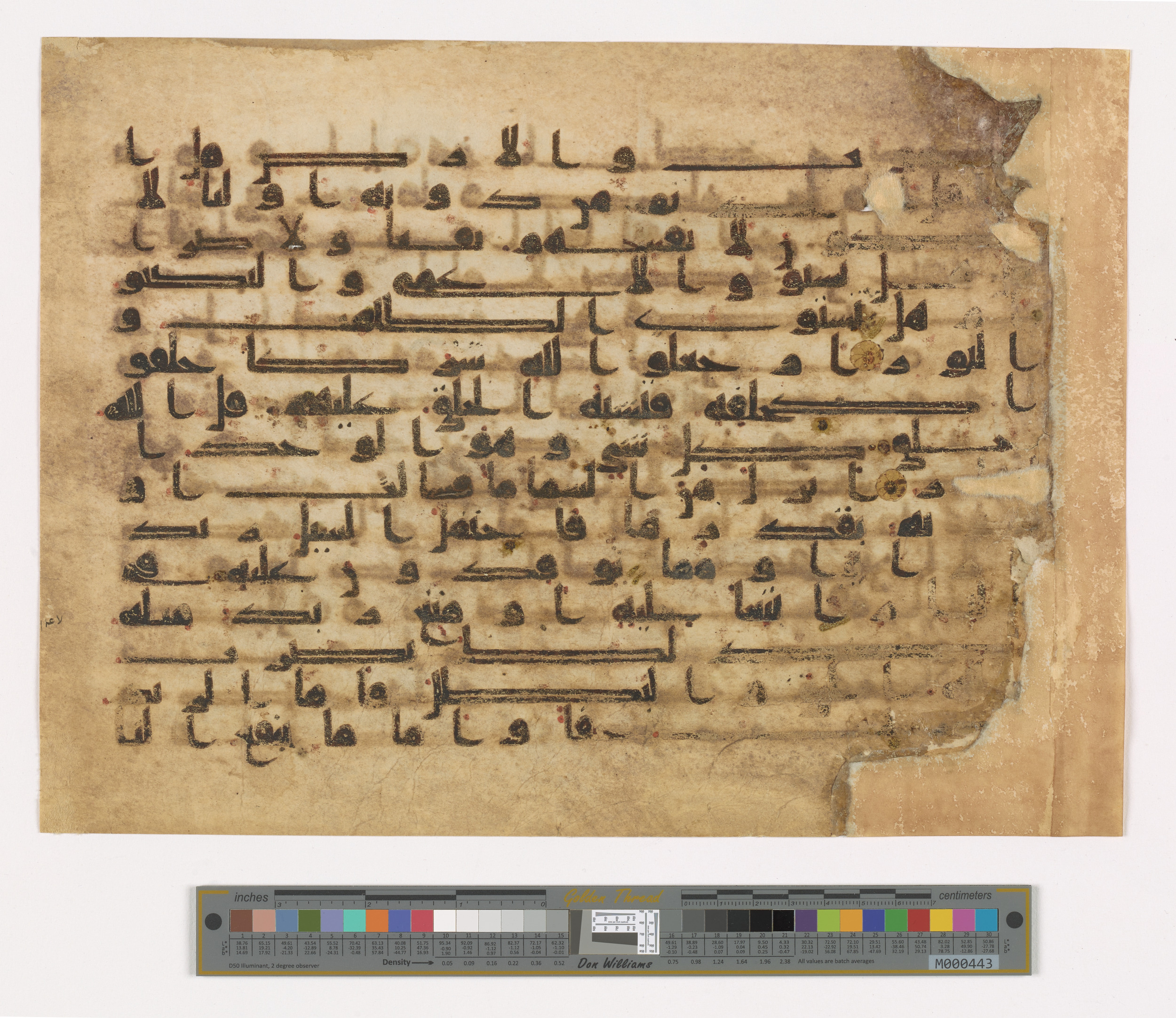 Doha, Qatar National Library, HC.MS.03112 (Scan 2), in Kūfī D.IV script, showing Surah 13:16 from 9th Century AD found in Unknown, currently housed at Qatar National Library, Doha