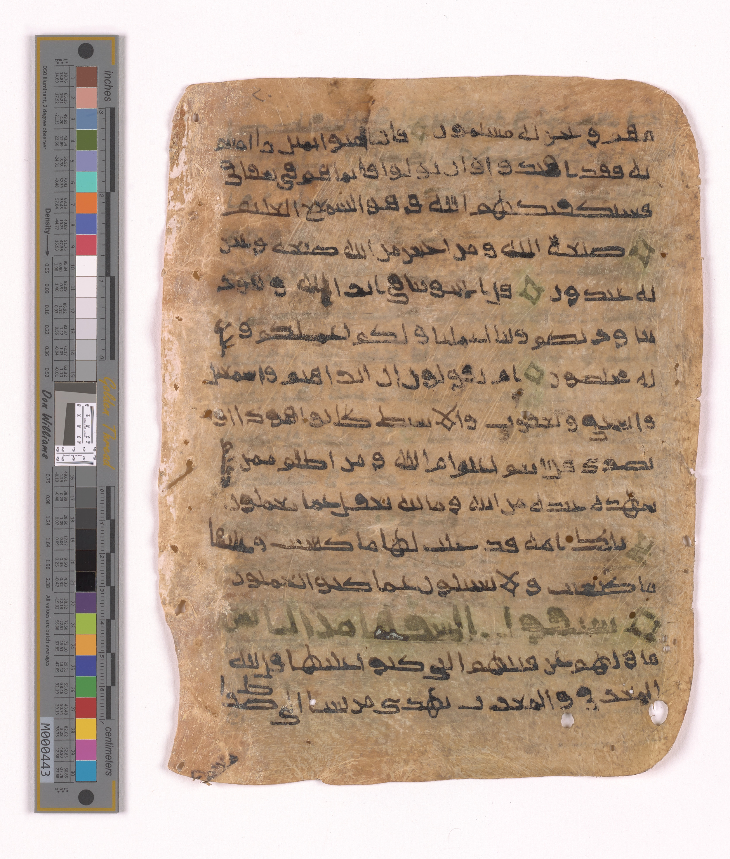 Doha, Qatar National Library HC.MS.03152 (Scan 1), in unknown script style script, showing Surah 2:142 from Uncertain (possibly a modern copy) found in Unknown, currently housed at Qatar National Library, Doha