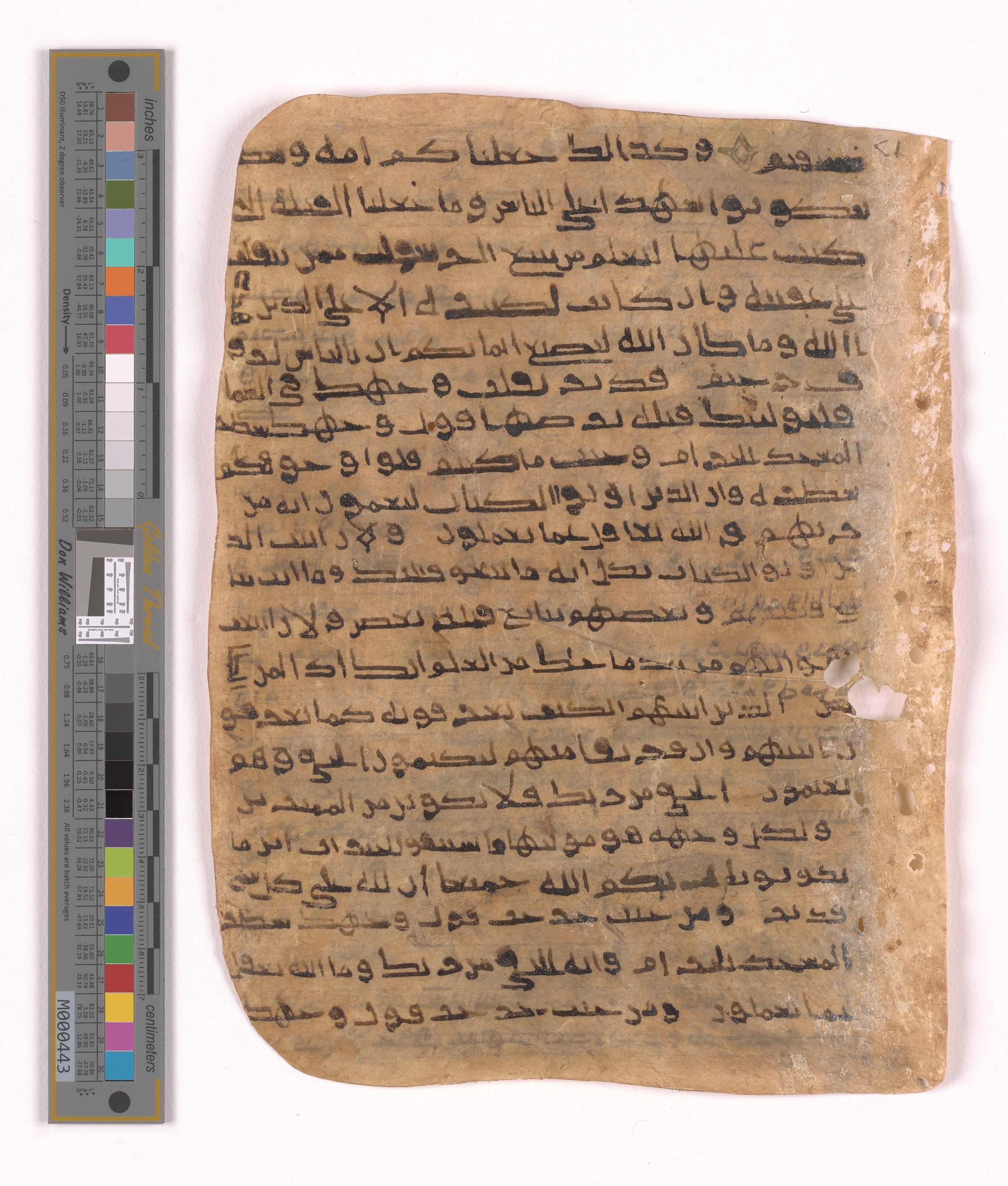 Doha, Qatar National Library HC.MS.03152 (Scan 2), in unknown script style script, showing Surah 2:142 from Uncertain (possibly a modern copy) found in Unknown, currently housed at Qatar National Library, Doha