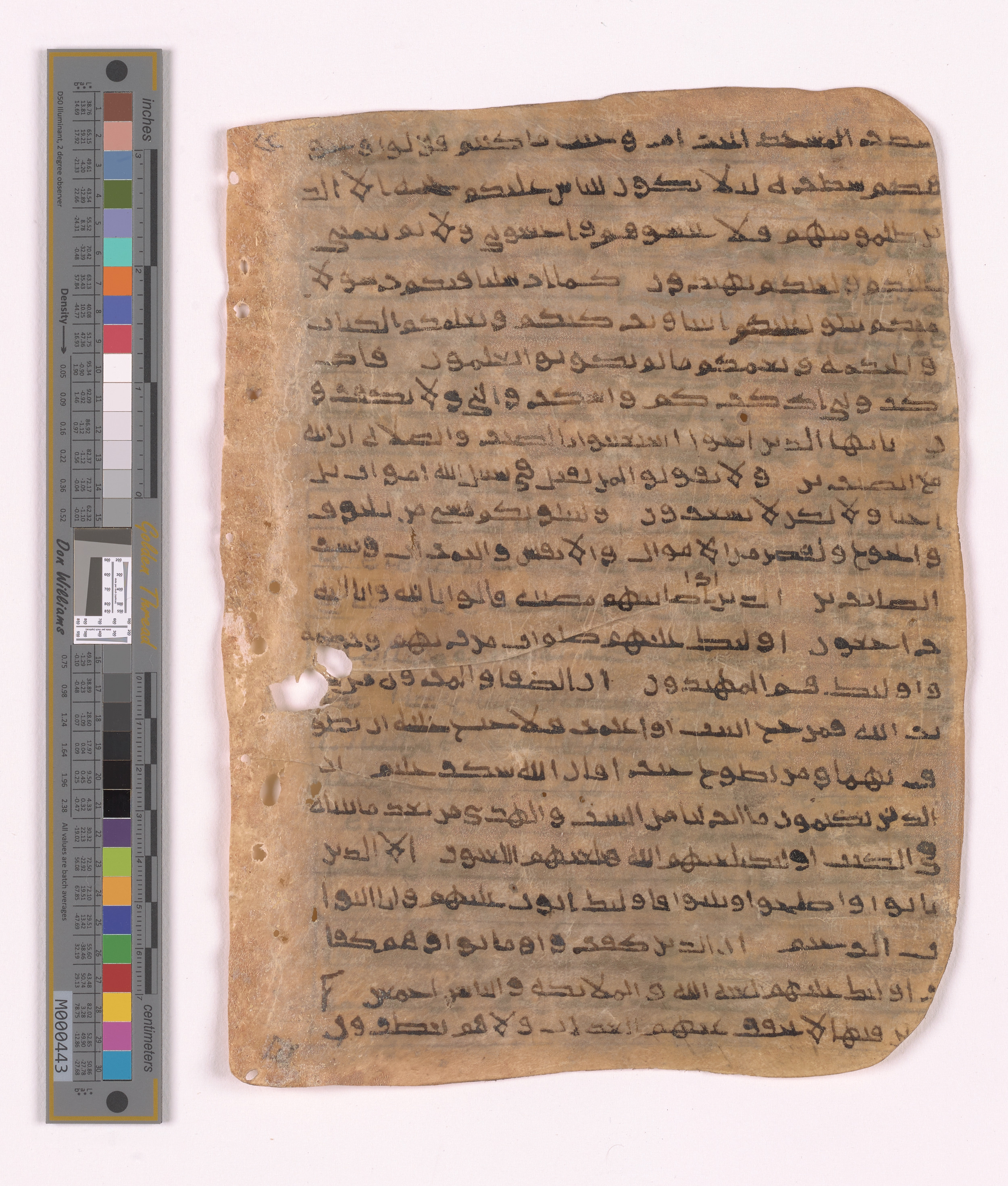 Doha, Qatar National Library HC.MS.03152, in unknown script style script, showing Surah 2:151 from Uncertain (possibly a modern copy) found in Unknown, currently housed at Qatar National Library, Doha