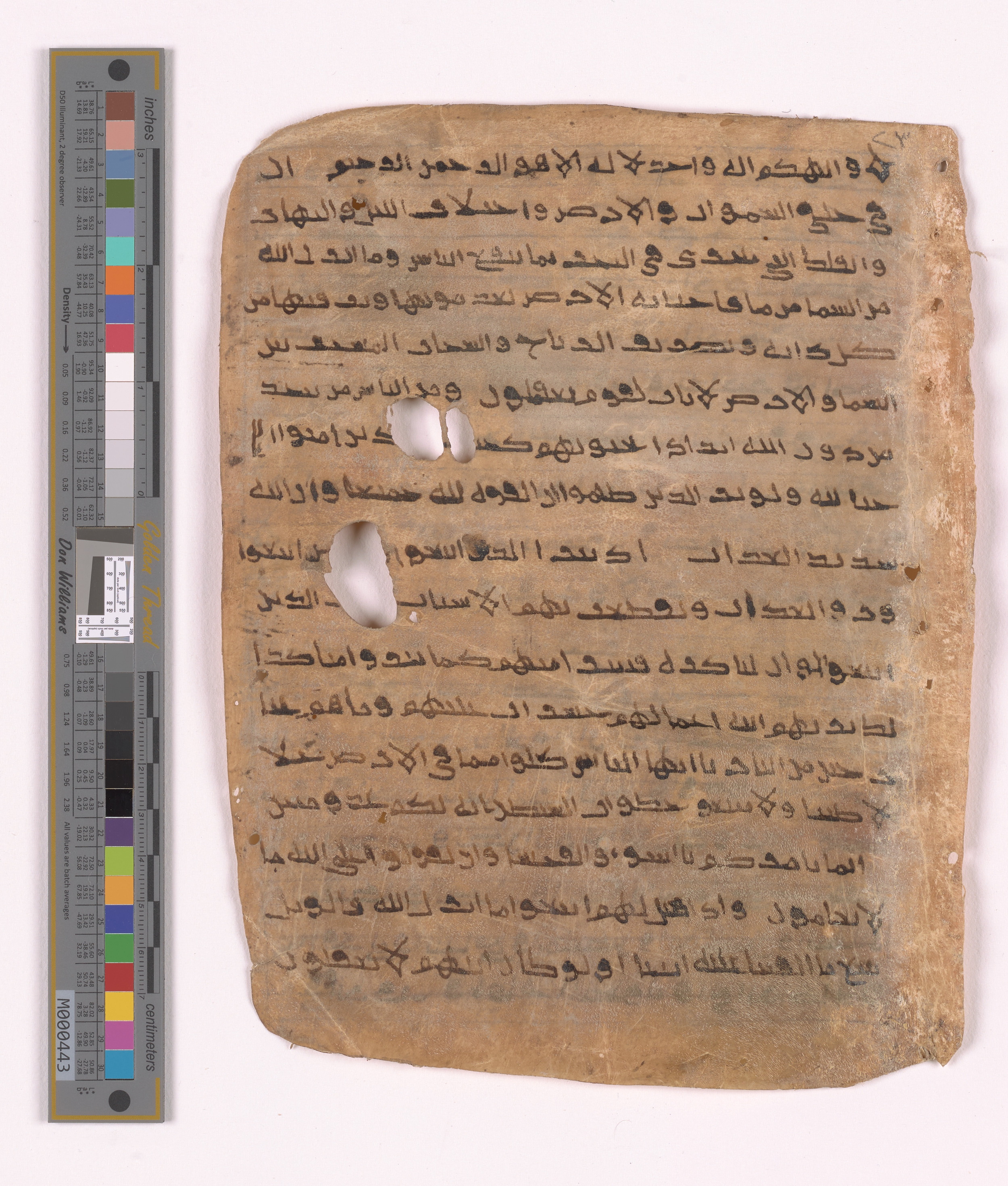 Doha, Qatar National Library HC.MS.03152 (Scan 1), in unknown script style script, showing Surah 2:170 from Uncertain (possibly a modern copy) found in Unknown, currently housed at Qatar National Library, Doha