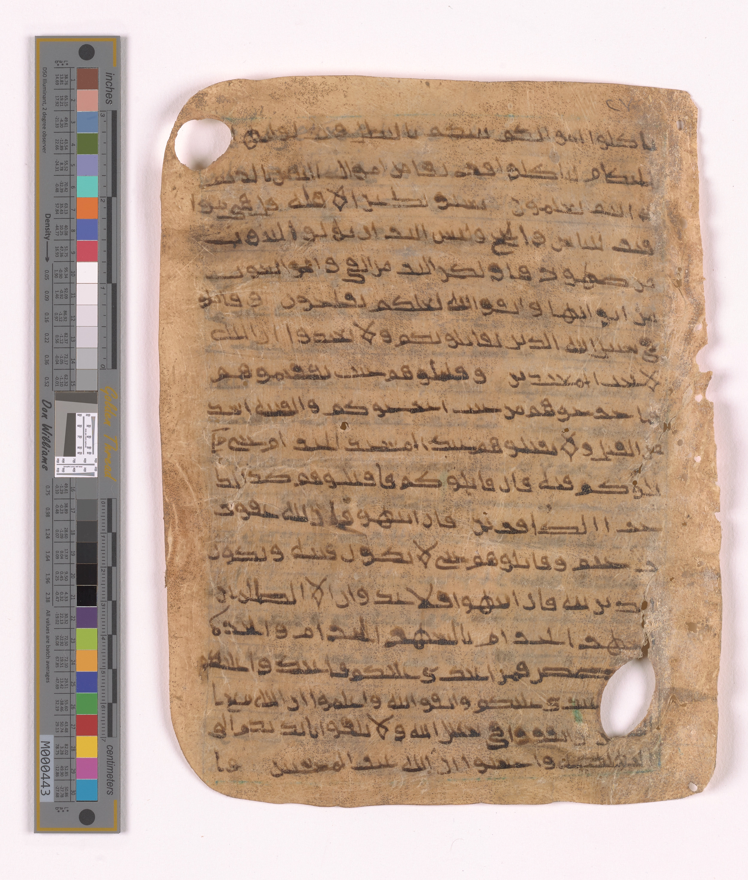 Doha, Qatar National Library HC.MS.03152, in unknown script style script, showing Surah 2:192 from Uncertain (possibly a modern copy) found in Unknown, currently housed at Qatar National Library, Doha