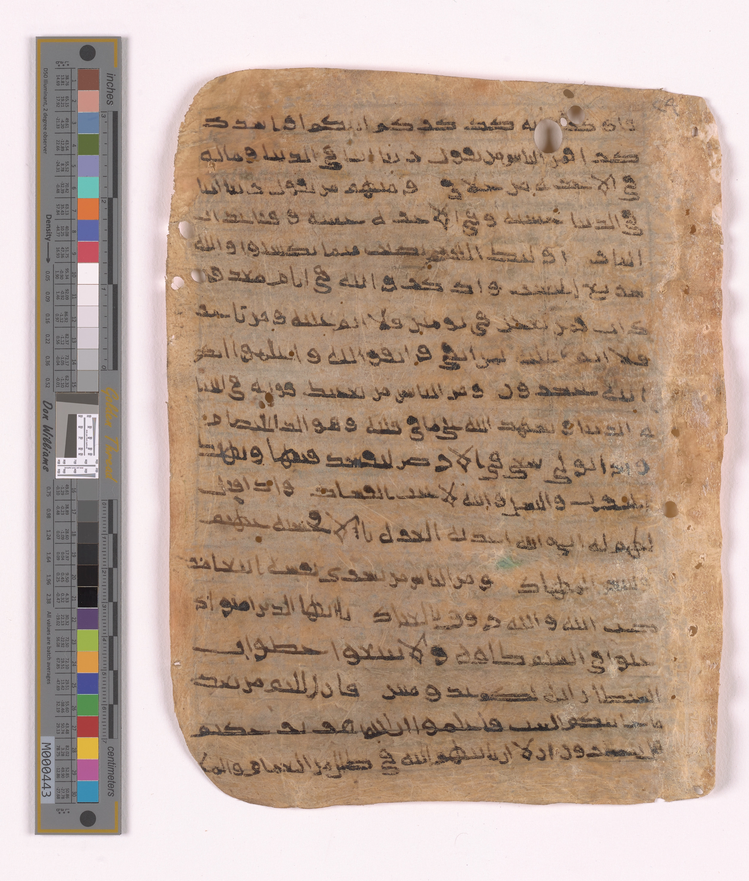 Doha, Qatar National Library HC.MS.03152, in unknown script style script, showing Surah 2:201 from Uncertain (possibly a modern copy) found in Unknown, currently housed at Qatar National Library, Doha