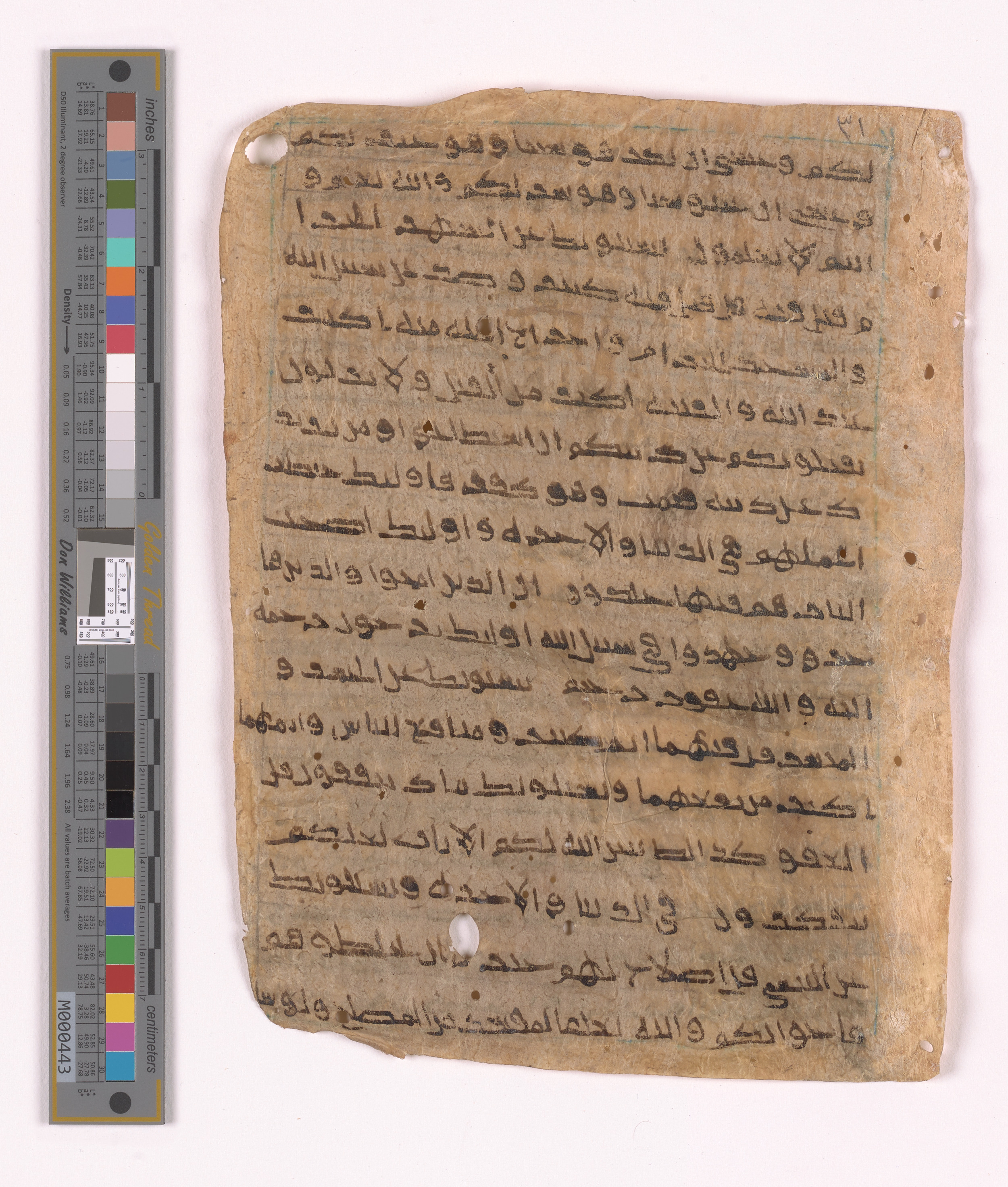 Doha, Qatar National Library HC.MS.03152, in unknown script style script, showing Surah 2:217 from Uncertain (possibly a modern copy) found in Unknown, currently housed at Qatar National Library, Doha