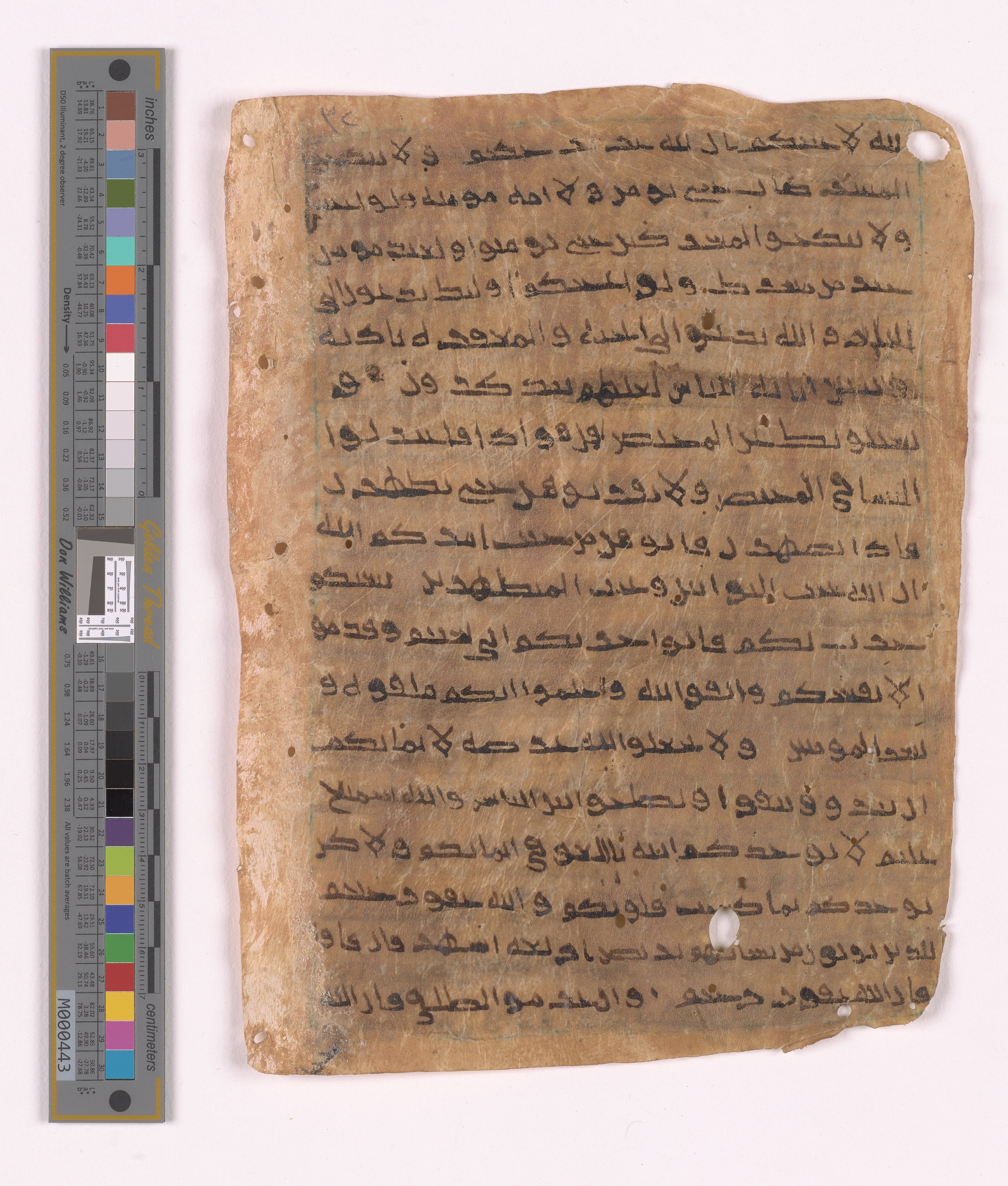 Doha, Qatar National Library HC.MS.03152 (Scan 2), in unknown script style script, showing Surah 2:220 from Uncertain (possibly a modern copy) found in Unknown, currently housed at Qatar National Library, Doha