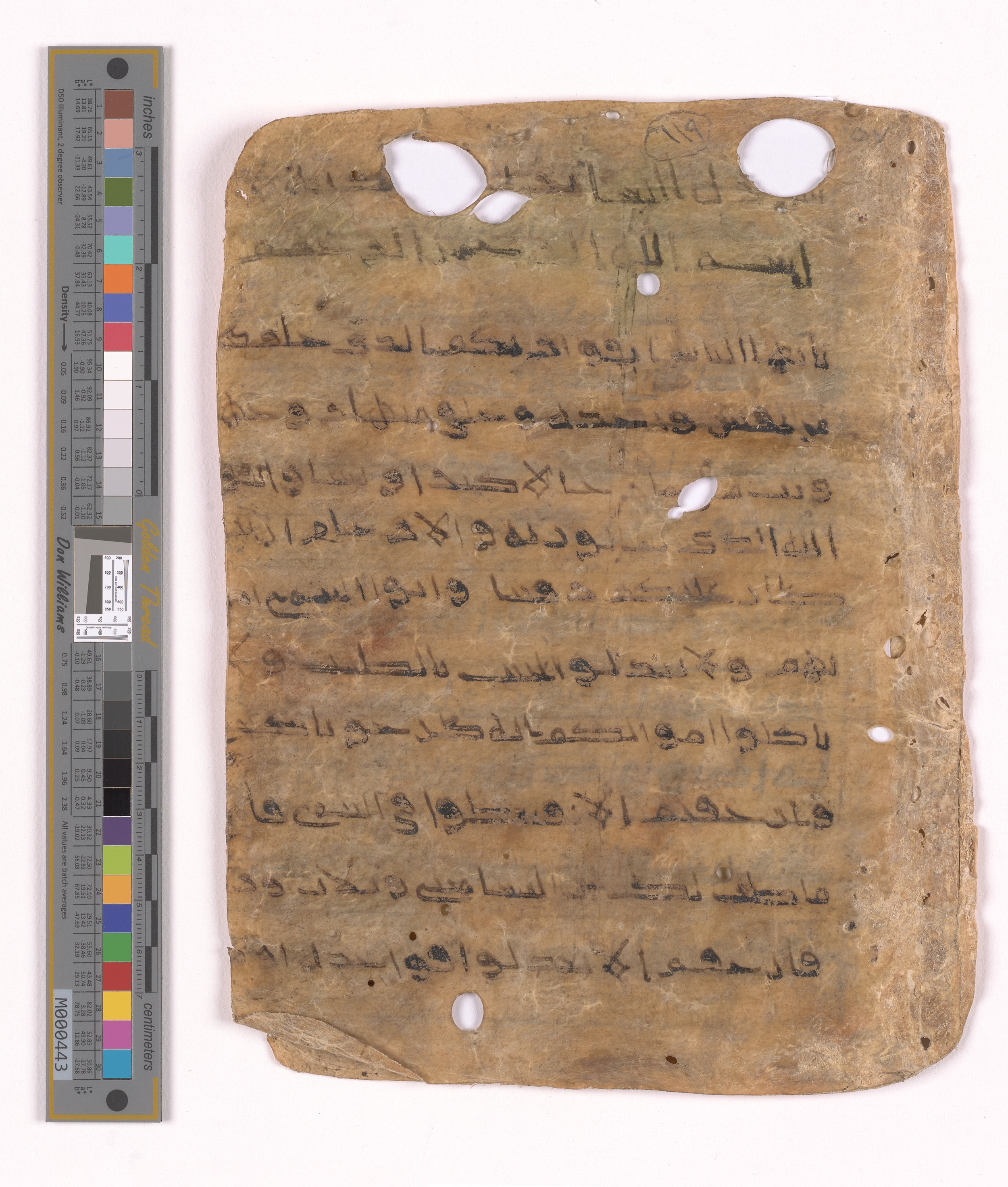 Doha, Qatar National Library HC.MS.03152, in unknown script style script, showing Surah 4:1 from Uncertain (possibly a modern copy) found in Unknown, currently housed at Qatar National Library, Doha