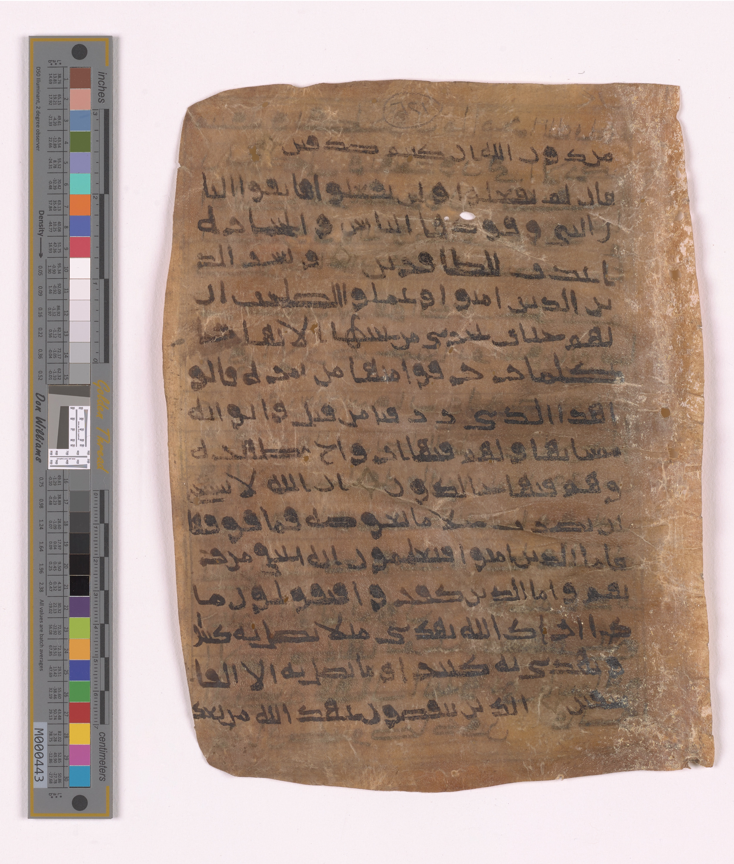 Doha, Qatar National Library HC.MS.03152, in unknown script style script, showing Surah 2:23 from Uncertain (possibly a modern copy) found in Unknown, currently housed at Qatar National Library, Doha
