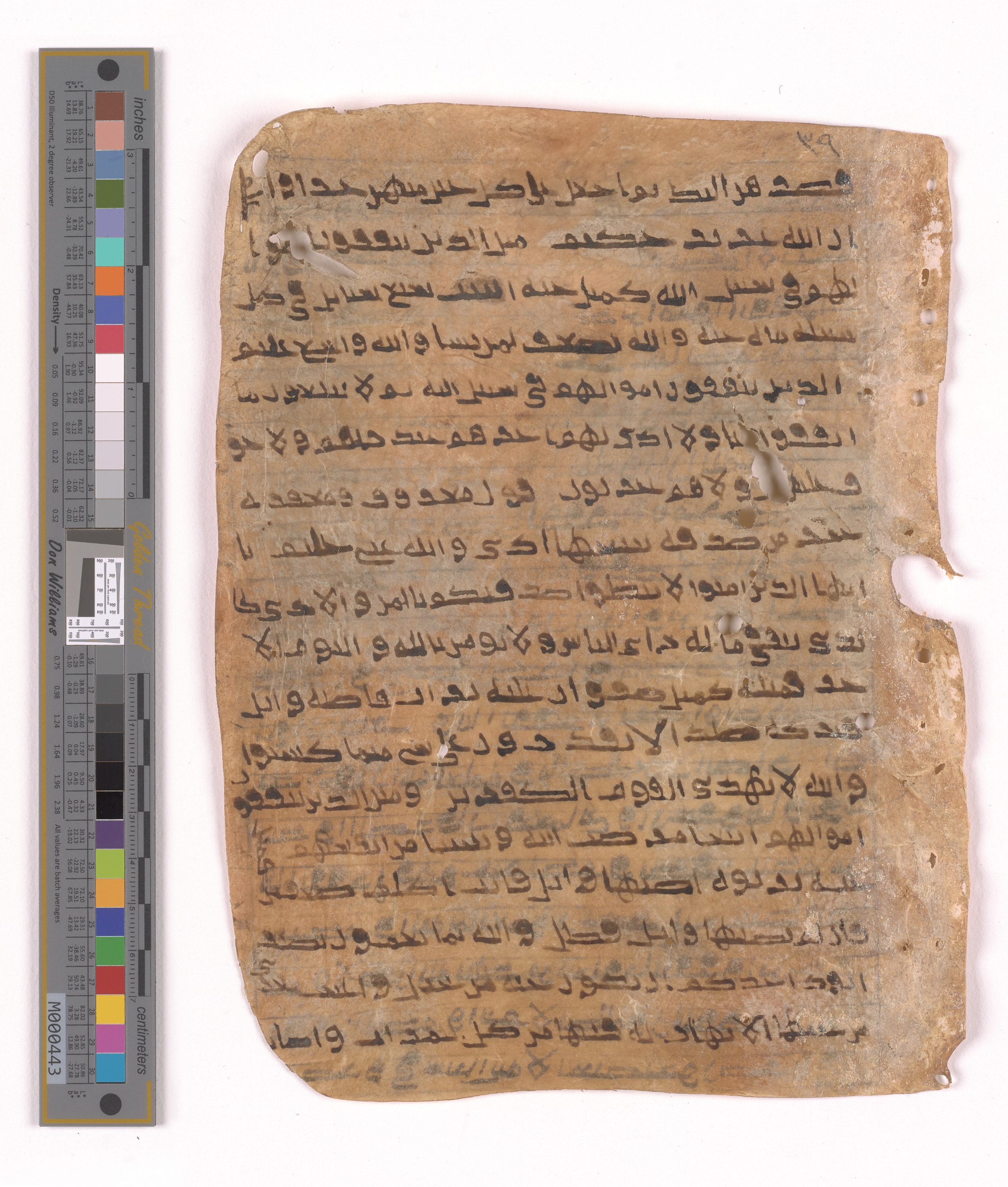 Doha, Qatar National Library HC.MS.03152, in unknown script style script, showing Surah 2:264 from Uncertain (possibly a modern copy) found in Unknown, currently housed at Qatar National Library, Doha