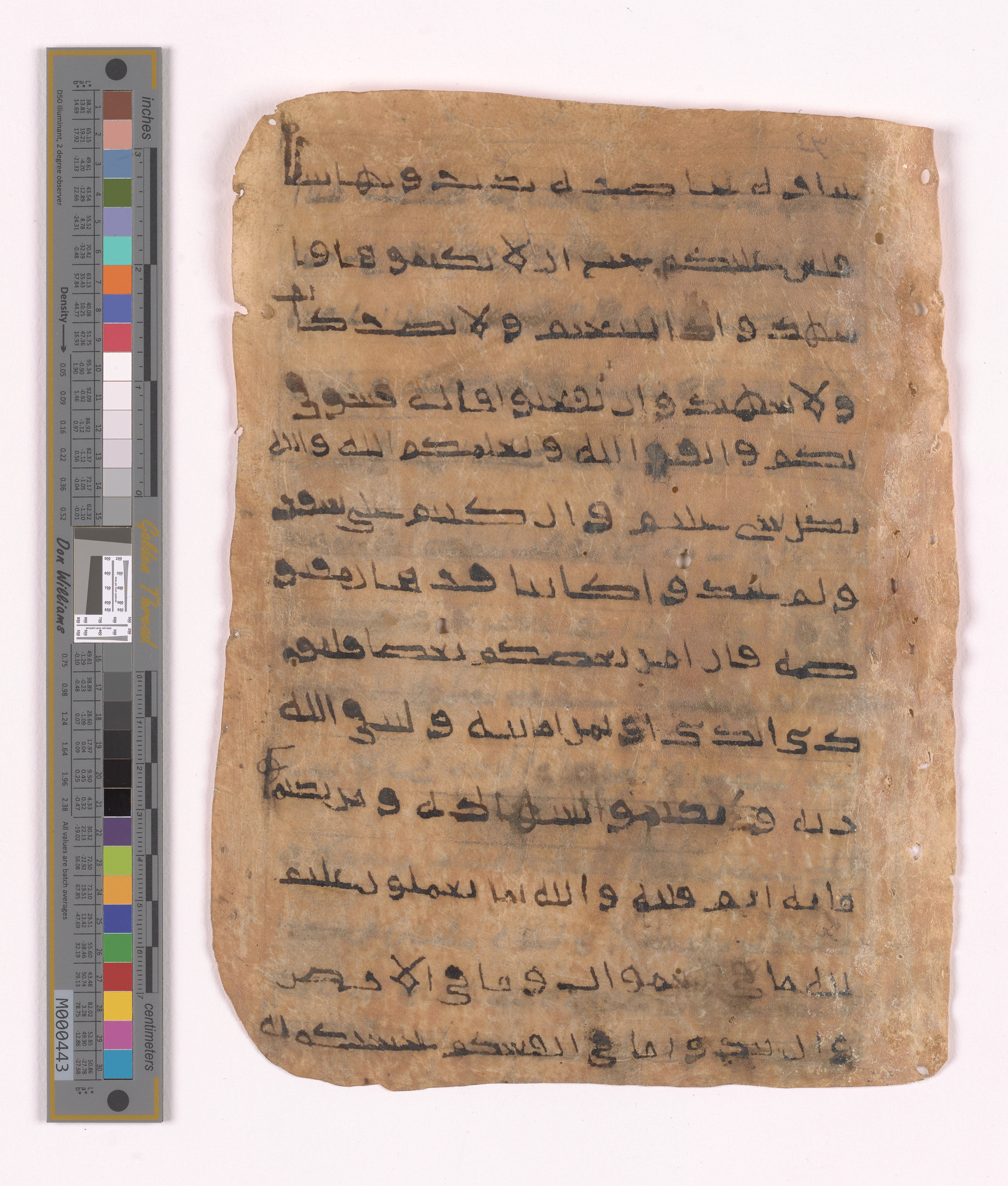 Doha, Qatar National Library HC.MS.03152, in unknown script style script, showing Surah 2:283 from Uncertain (possibly a modern copy) found in Unknown, currently housed at Qatar National Library, Doha