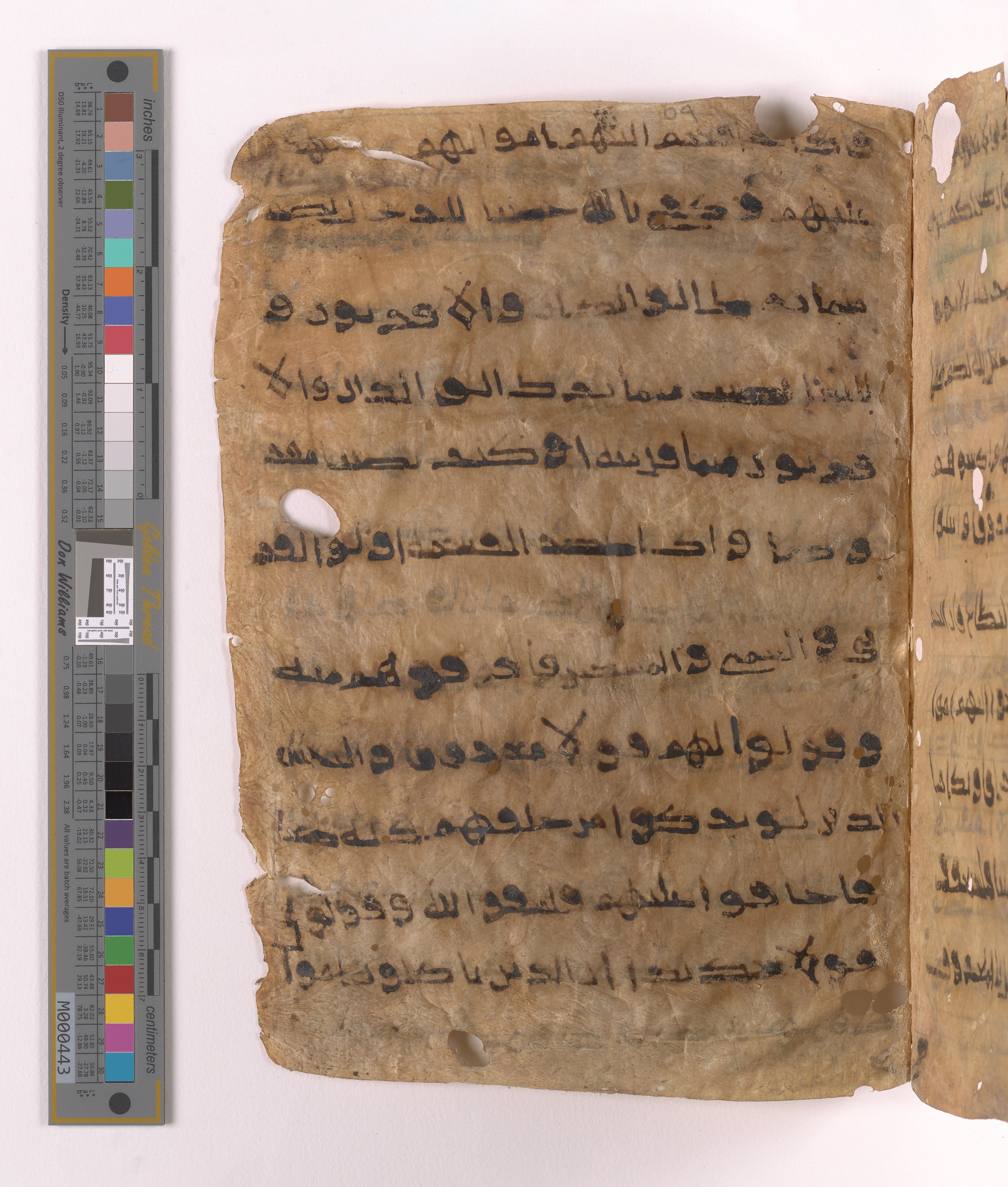 Doha, Qatar National Library HC.MS.03152, in unknown script style script, showing Surah 4:7 from Uncertain (possibly a modern copy) found in Unknown, currently housed at Qatar National Library, Doha