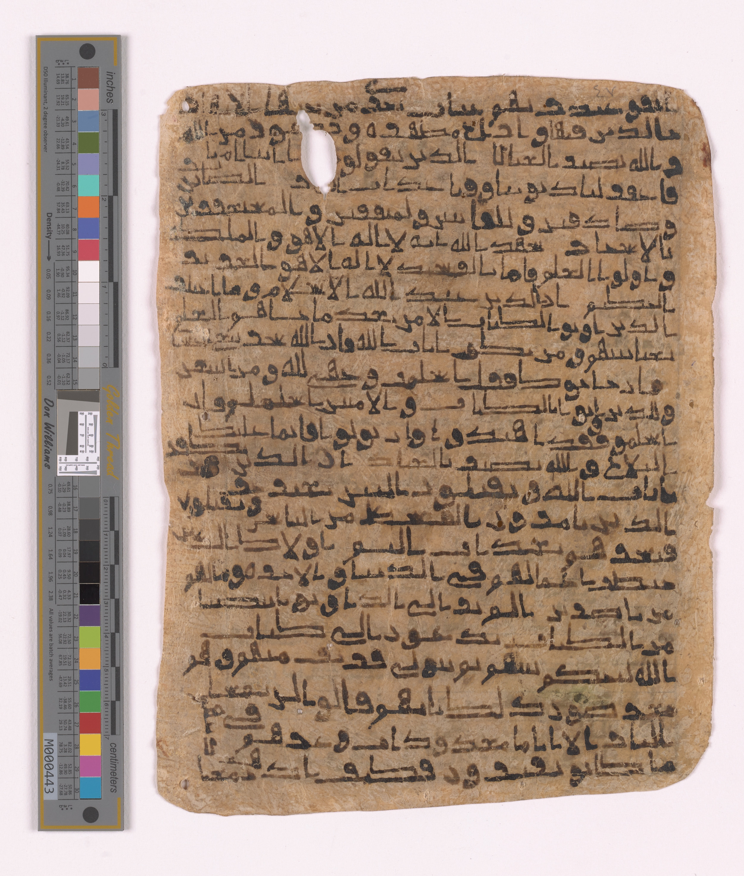 Doha, Qatar National Library HC.MS.03152, in unknown script style script, showing Surah 3:21 from Uncertain (possibly a modern copy) found in Unknown, currently housed at Qatar National Library, Doha