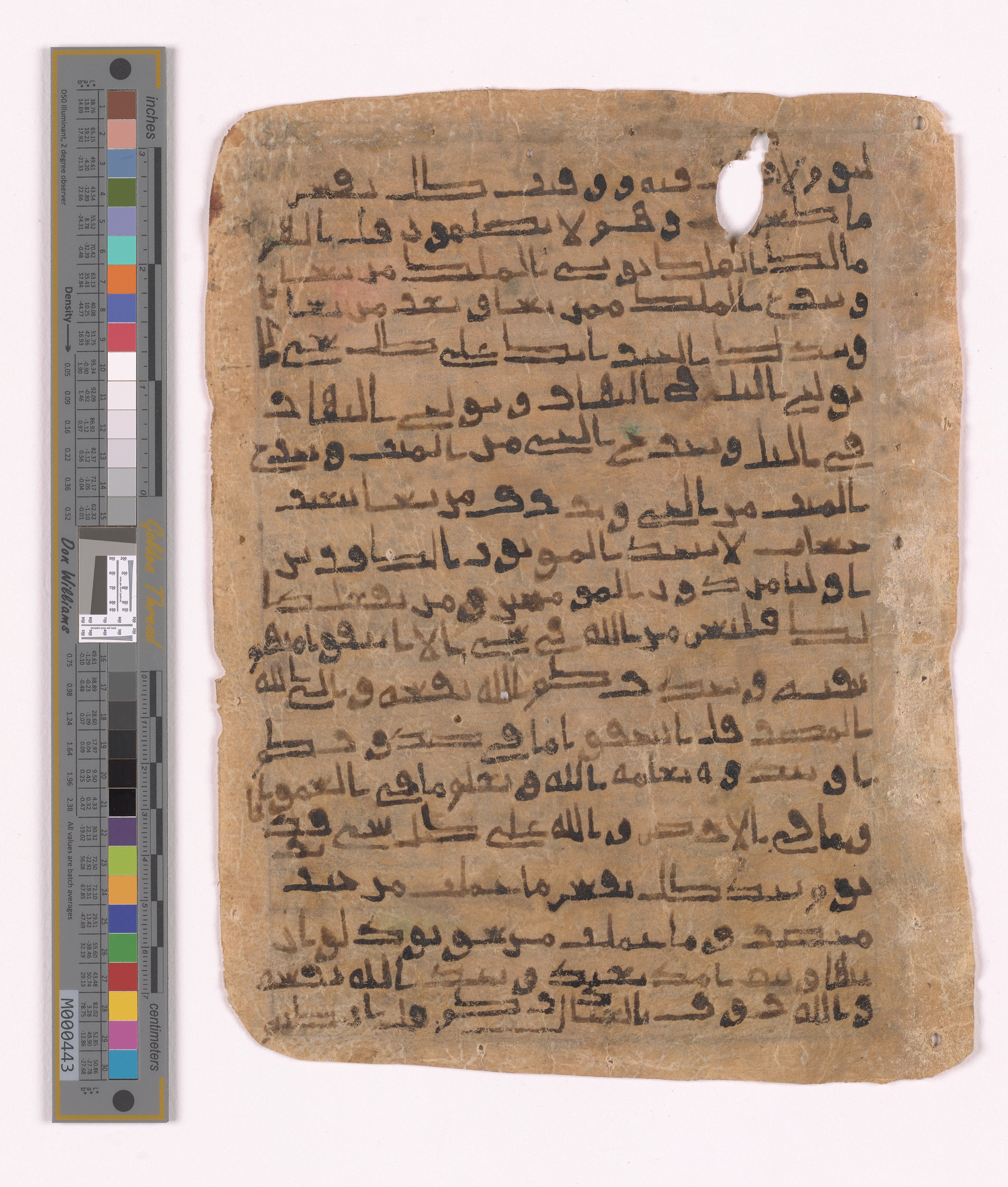 Doha, Qatar National Library HC.MS.03152, in unknown script style script, showing Surah 3:29 from Uncertain (possibly a modern copy) found in Unknown, currently housed at Qatar National Library, Doha