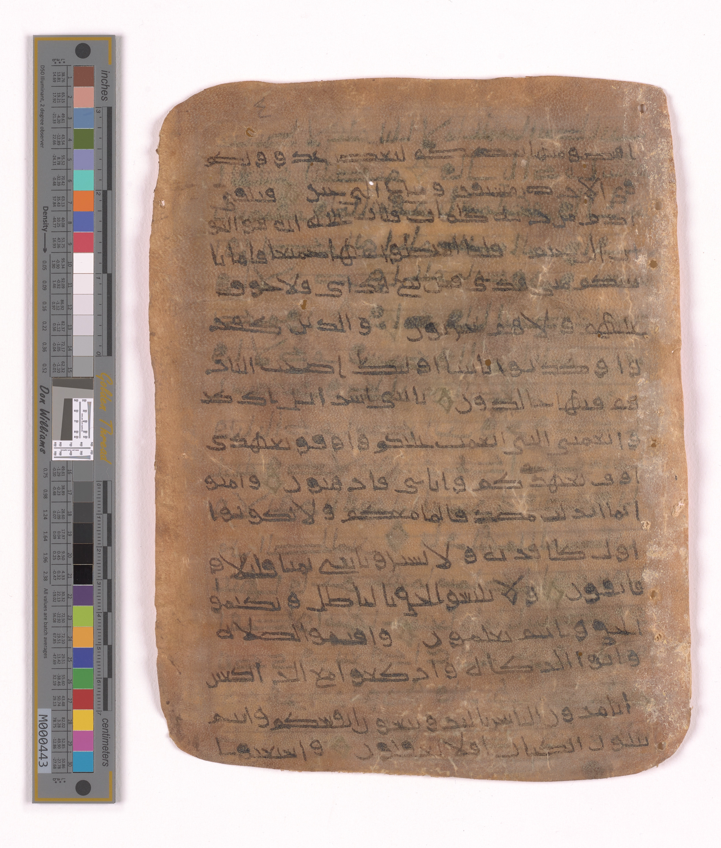 Doha, Qatar National Library HC.MS.03152, in unknown script style script, showing Surah 2:44 from Uncertain (possibly a modern copy) found in Unknown, currently housed at Qatar National Library, Doha