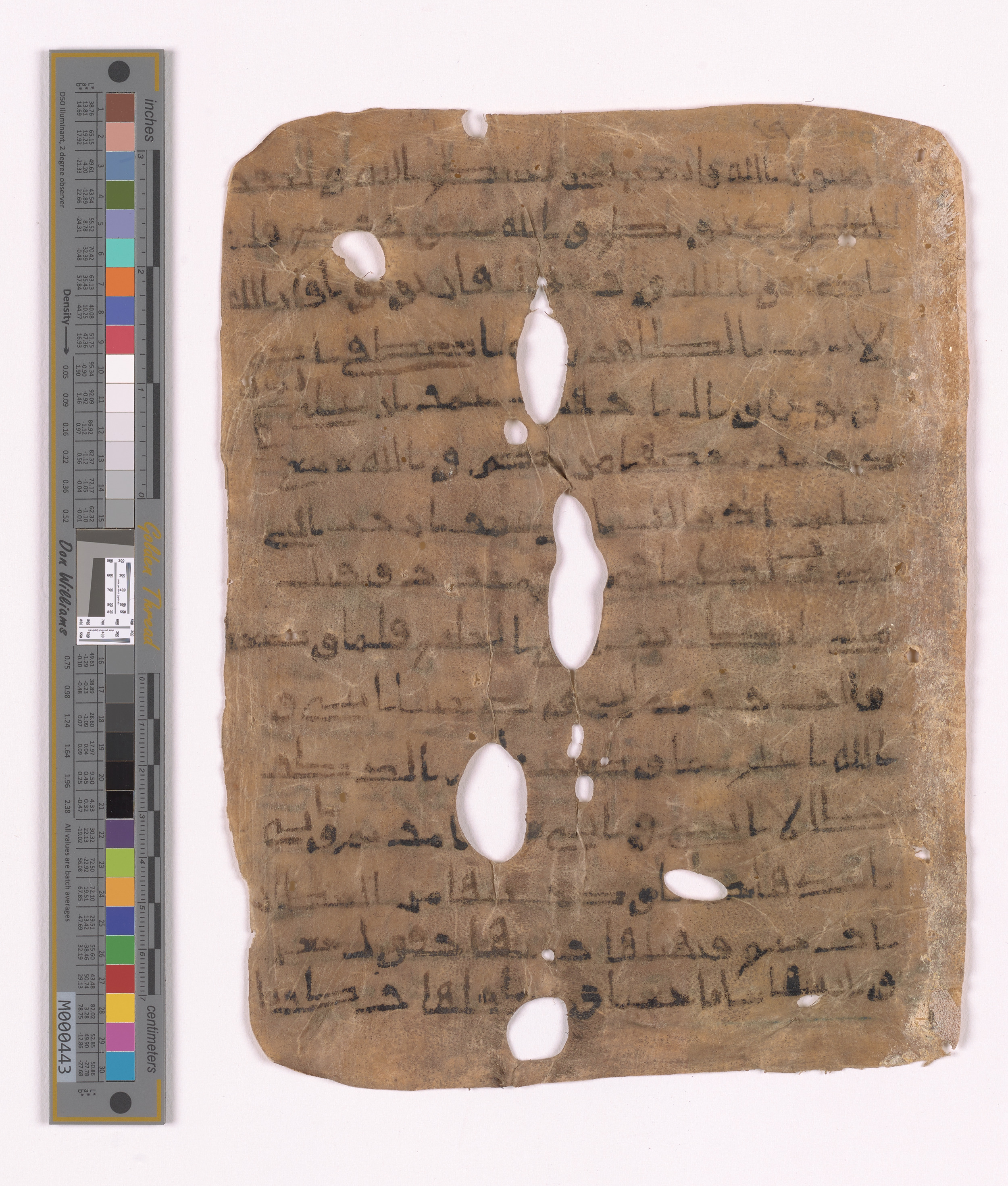 Doha, Qatar National Library HC.MS.03152, in unknown script style script, showing Surah 3:33 from Uncertain (possibly a modern copy) found in Unknown, currently housed at Qatar National Library, Doha