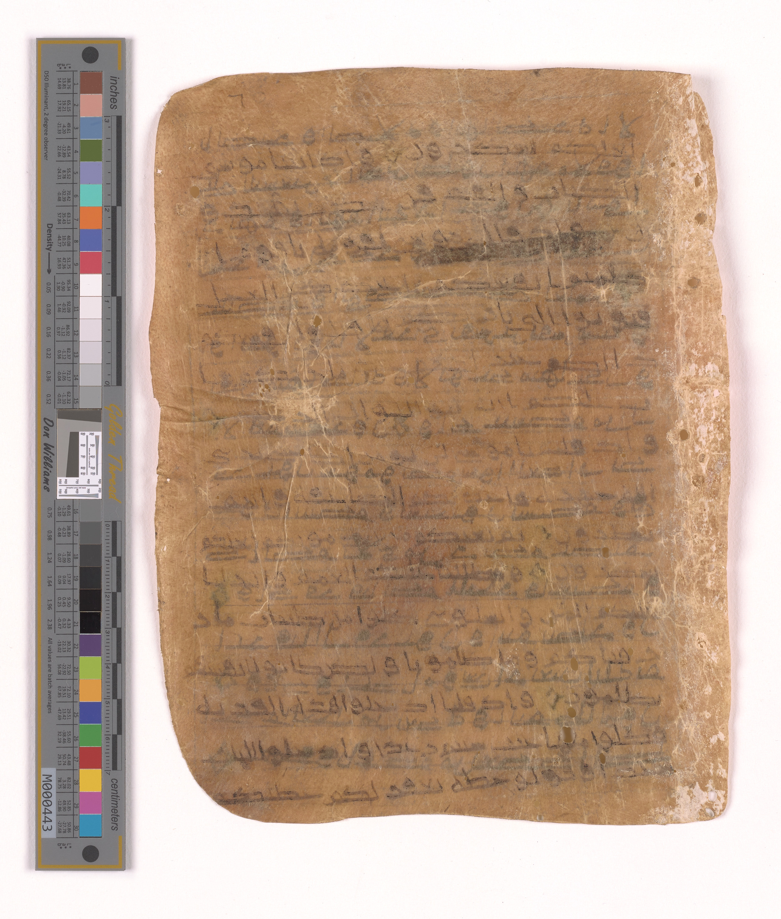 Doha, Qatar National Library HC.MS.03152 (Scan 1), in unknown script style script, showing Surah 2:49 from Uncertain (possibly a modern copy) found in Unknown, currently housed at Qatar National Library, Doha