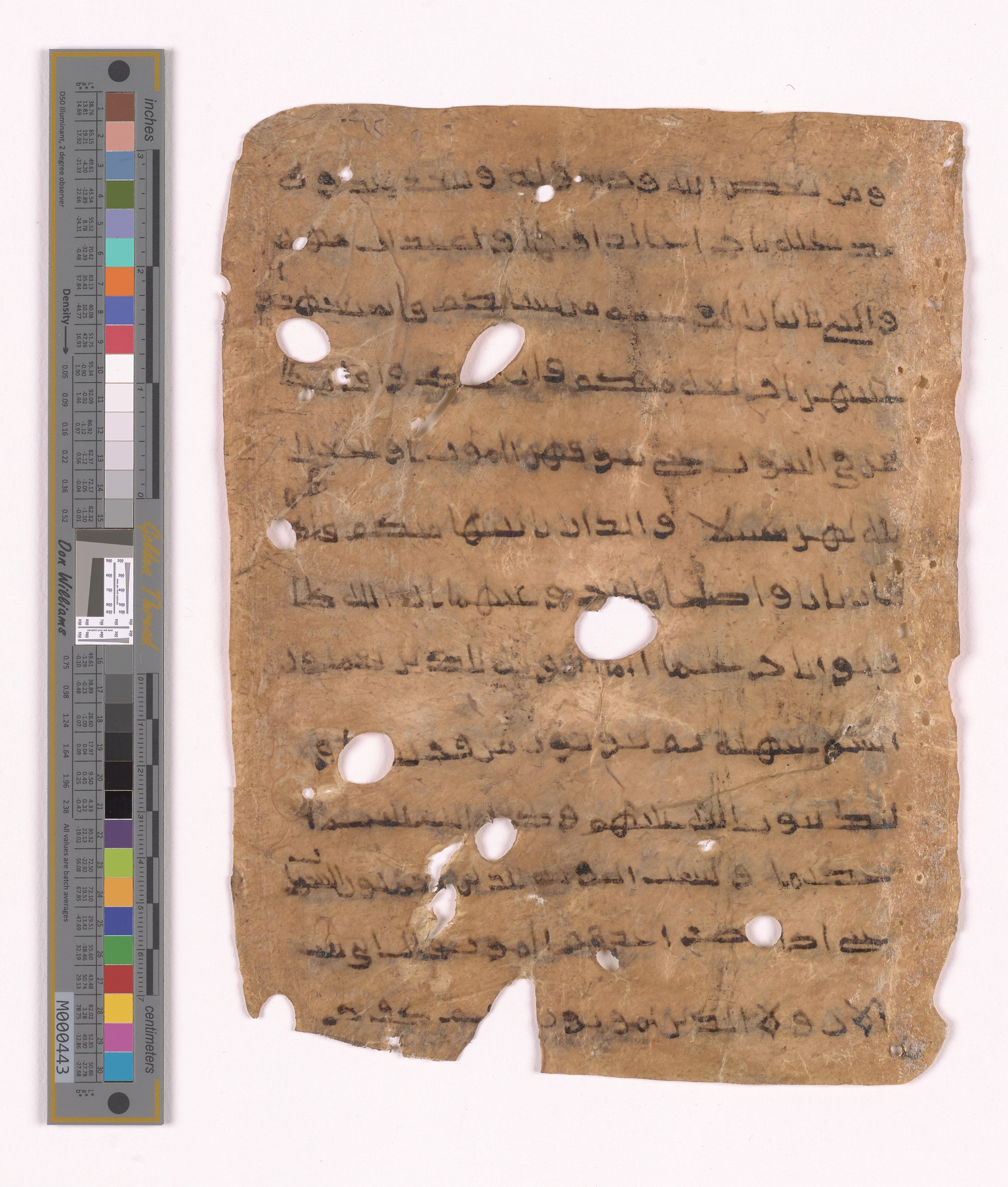 Doha, Qatar National Library HC.MS.03152, in unknown script style script, showing Surah 4:16 from Uncertain (possibly a modern copy) found in Unknown, currently housed at Qatar National Library, Doha