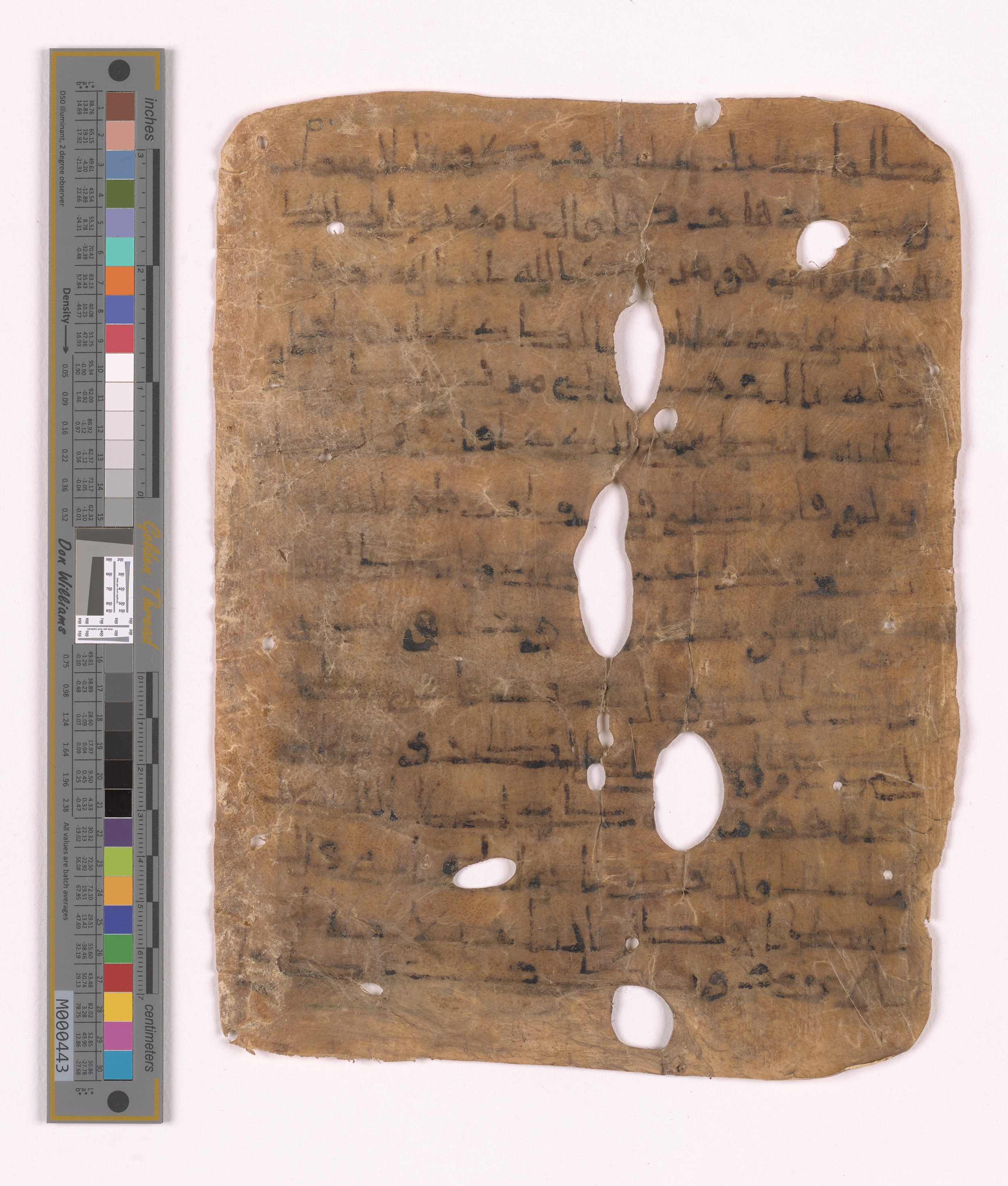 Doha, Qatar National Library HC.MS.03152, in unknown script style script, showing Surah 3:39 from Uncertain (possibly a modern copy) found in Unknown, currently housed at Qatar National Library, Doha