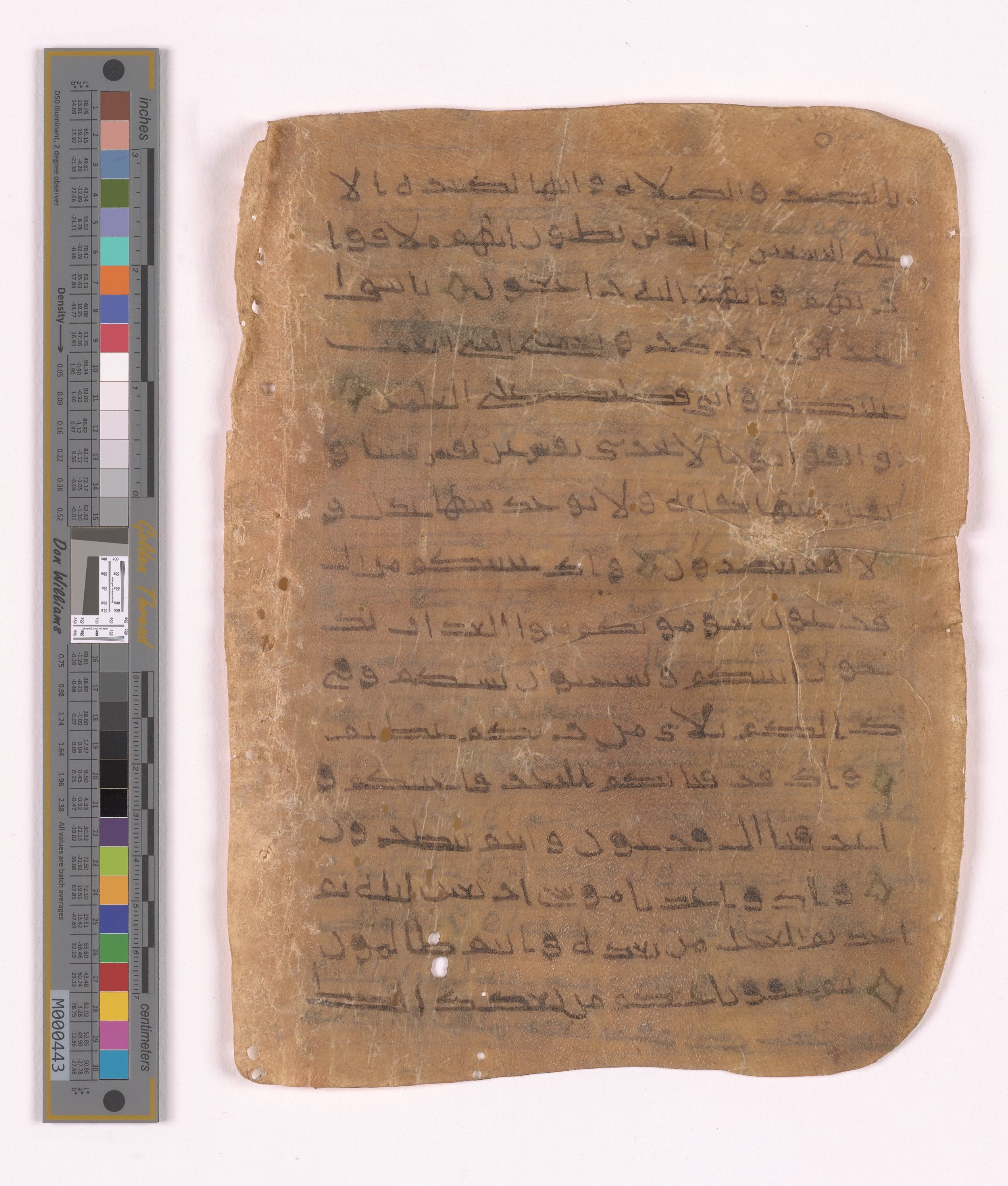 Doha, Qatar National Library HC.MS.03152 (Scan 2), in unknown script style script, showing Surah 2:49 from Uncertain (possibly a modern copy) found in Unknown, currently housed at Qatar National Library, Doha