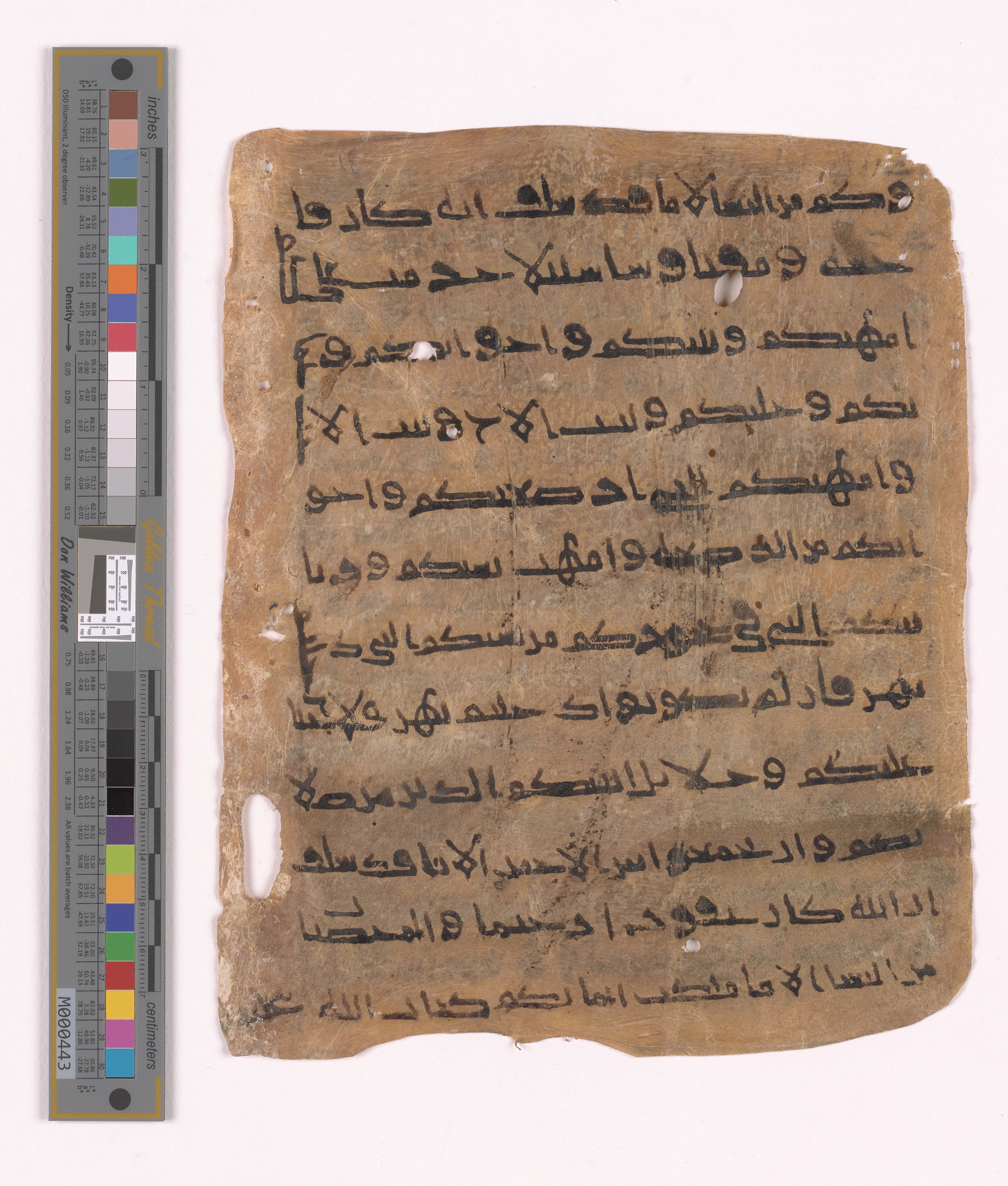 Doha, Qatar National Library HC.MS.03152 (Scan 1), in unknown script style script, showing Surah 4:24 from Uncertain (possibly a modern copy) found in Unknown, currently housed at Qatar National Library, Doha