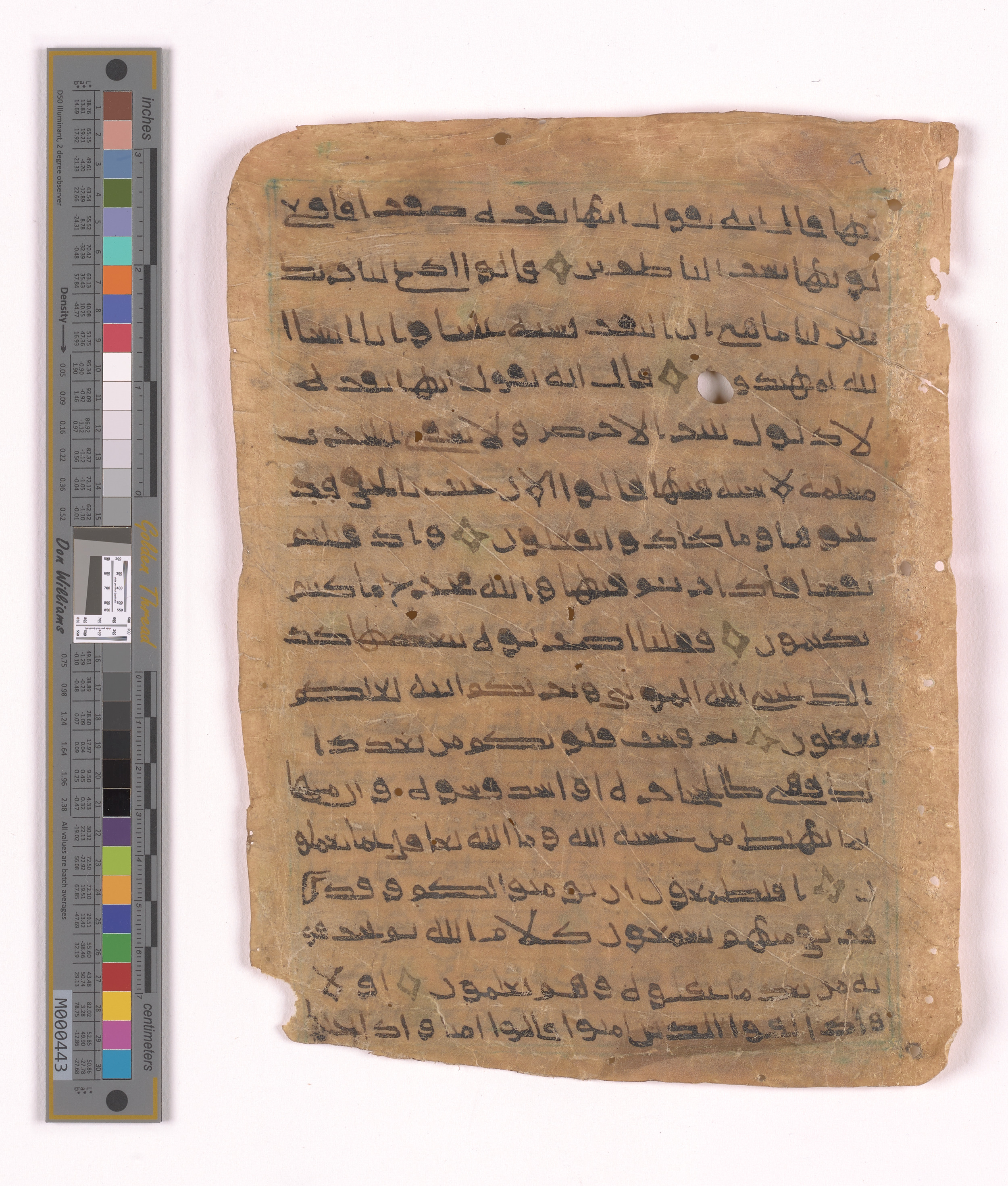 Doha, Qatar National Library HC.MS.03152, in unknown script style script, showing Surah 2:71 from Uncertain (possibly a modern copy) found in Unknown, currently housed at Qatar National Library, Doha