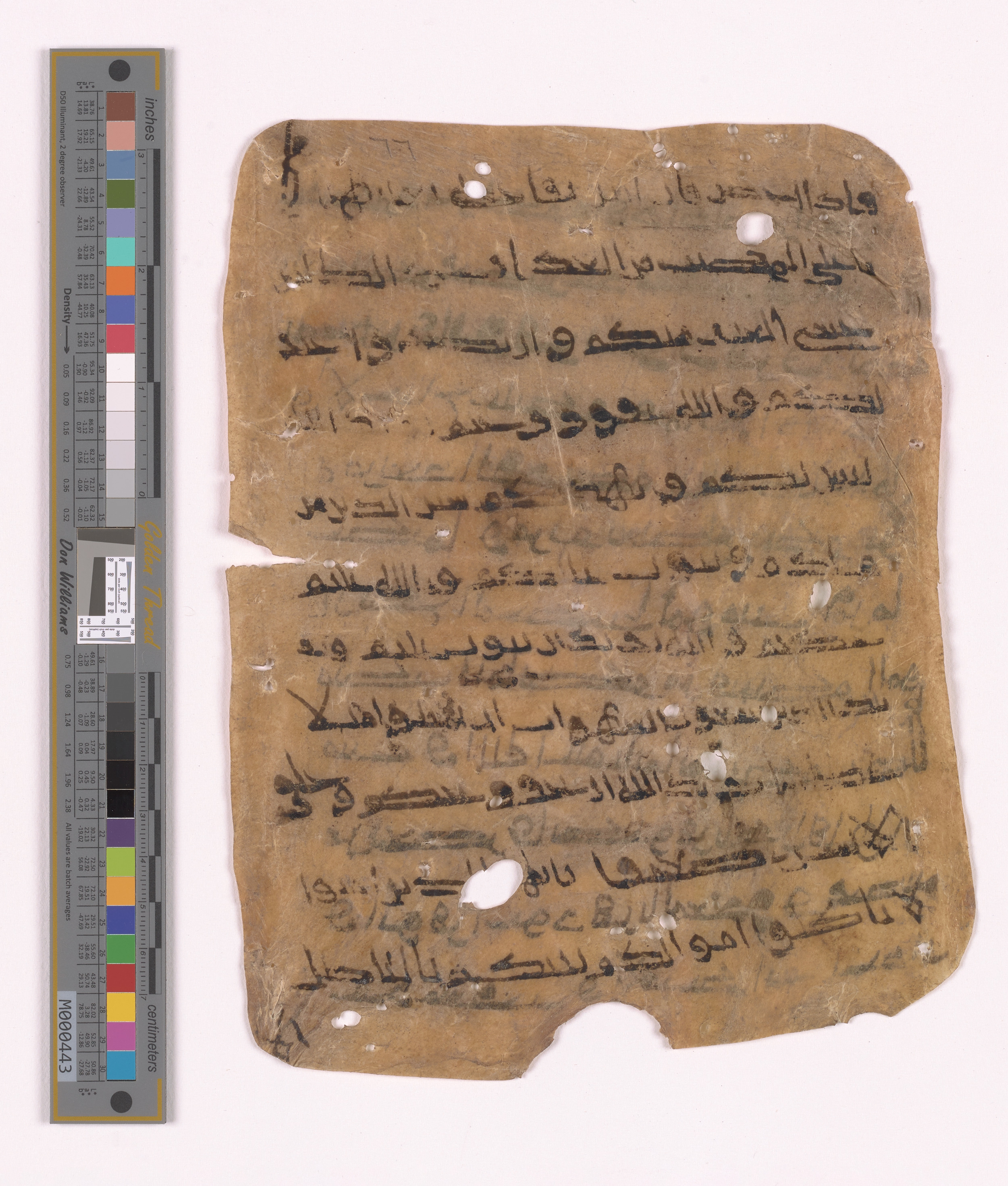 Doha, Qatar National Library HC.MS.03152 (Scan 1), in unknown script style script, showing Surah 4:29 from Uncertain (possibly a modern copy) found in Unknown, currently housed at Qatar National Library, Doha